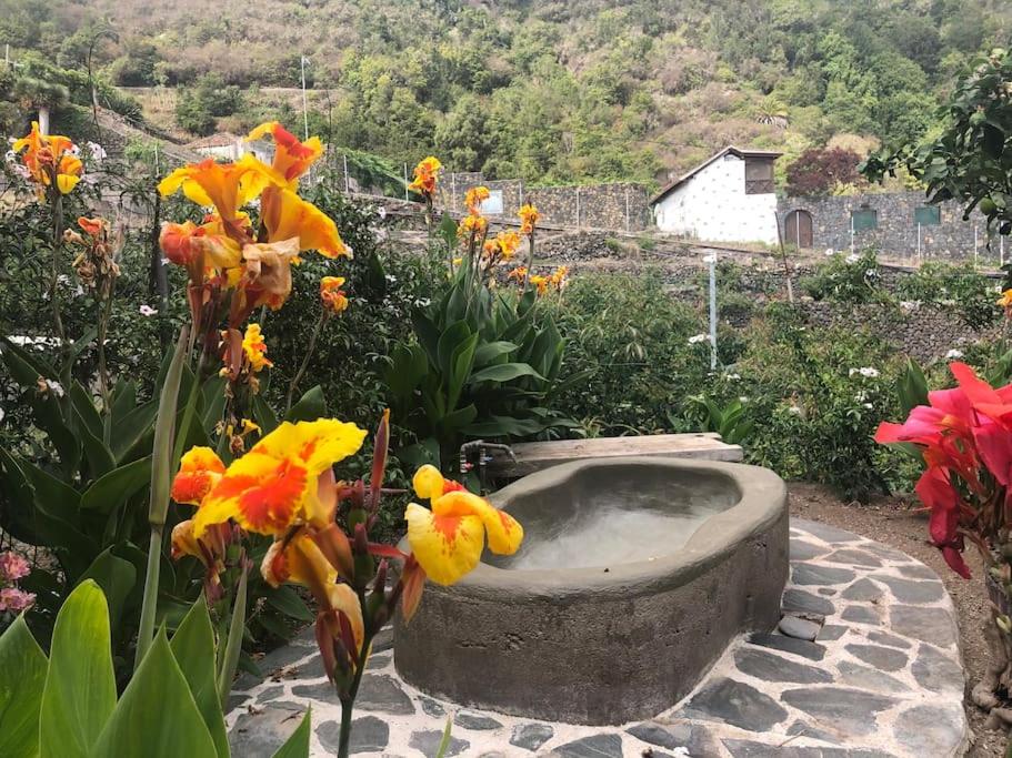 Villa Califurnia de Icod de Los Vinos