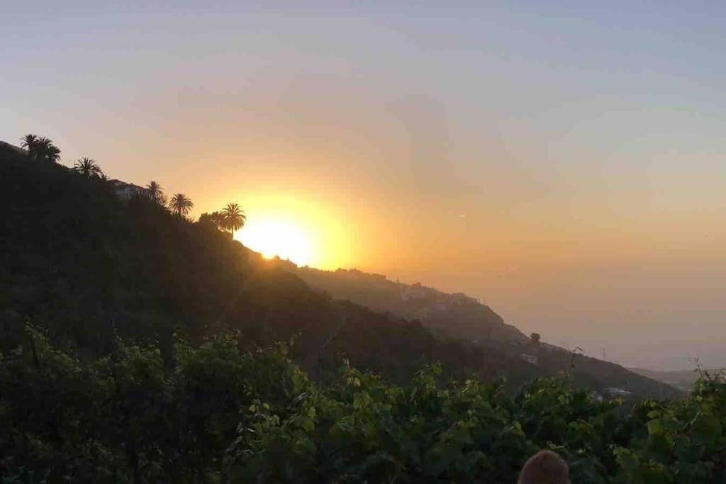 Villa Califurnia de Icod de Los Vinos