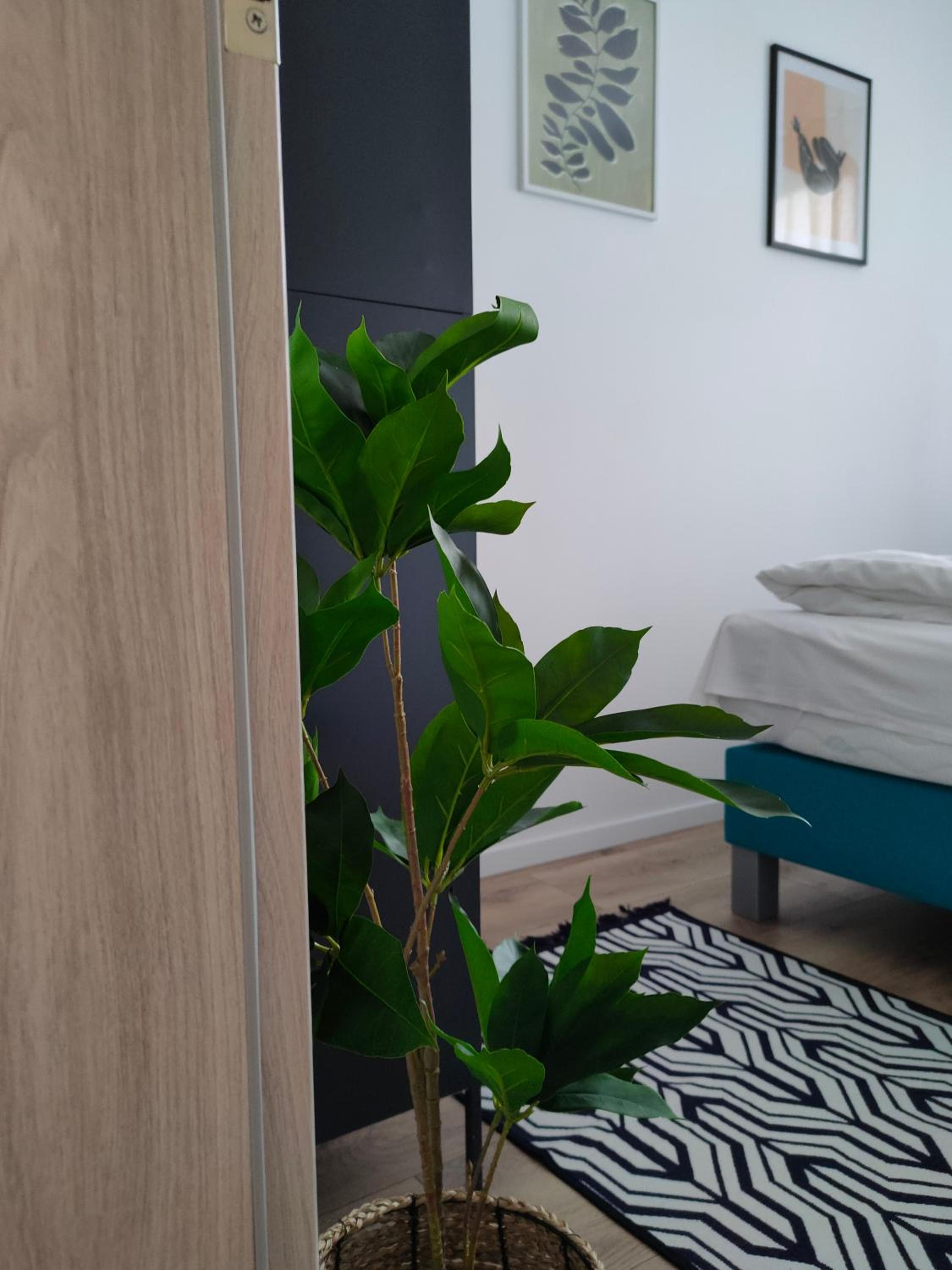 Pe-Ki Apartman Székesfehérvár