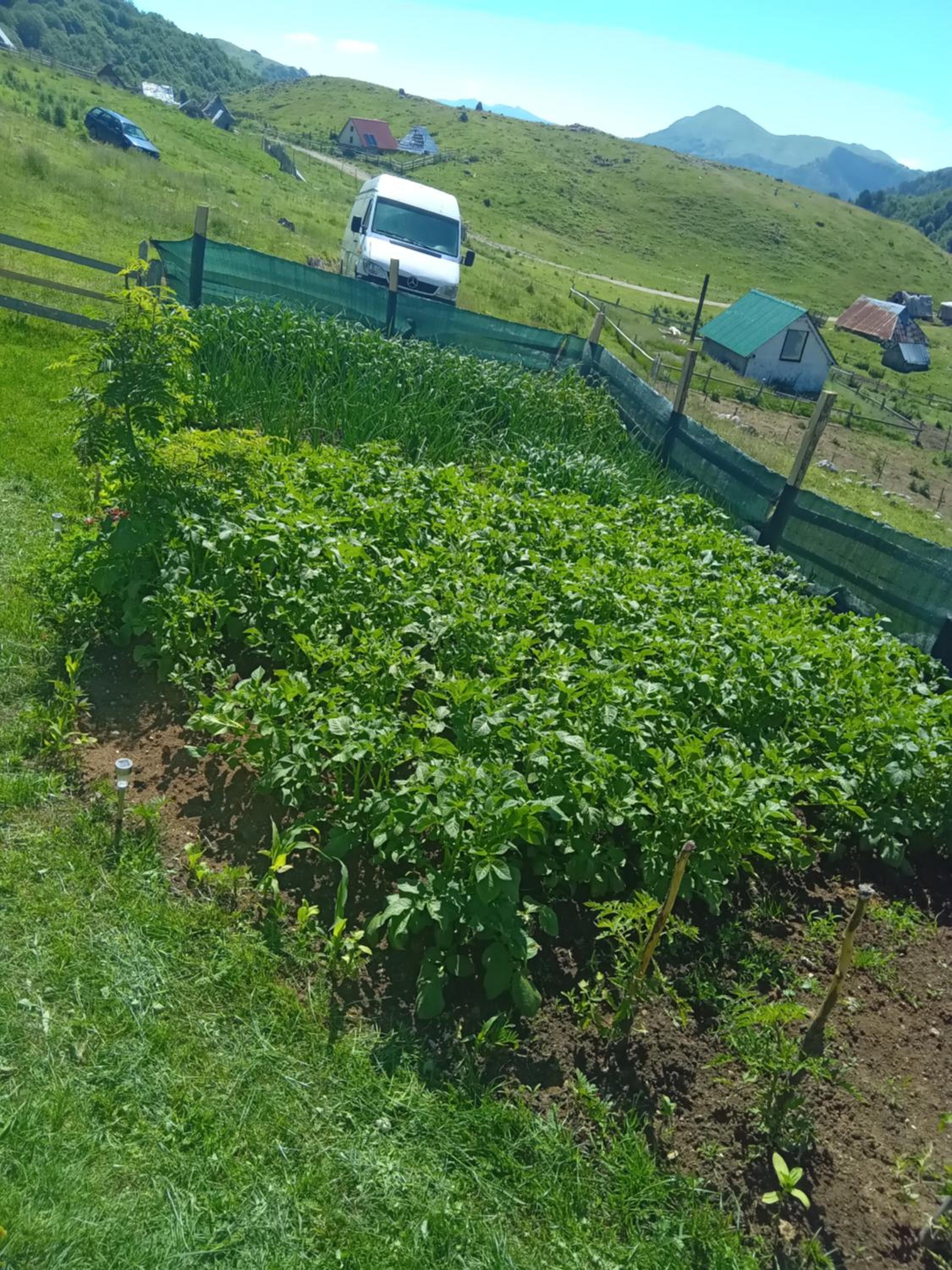 Bajka Sinjavine