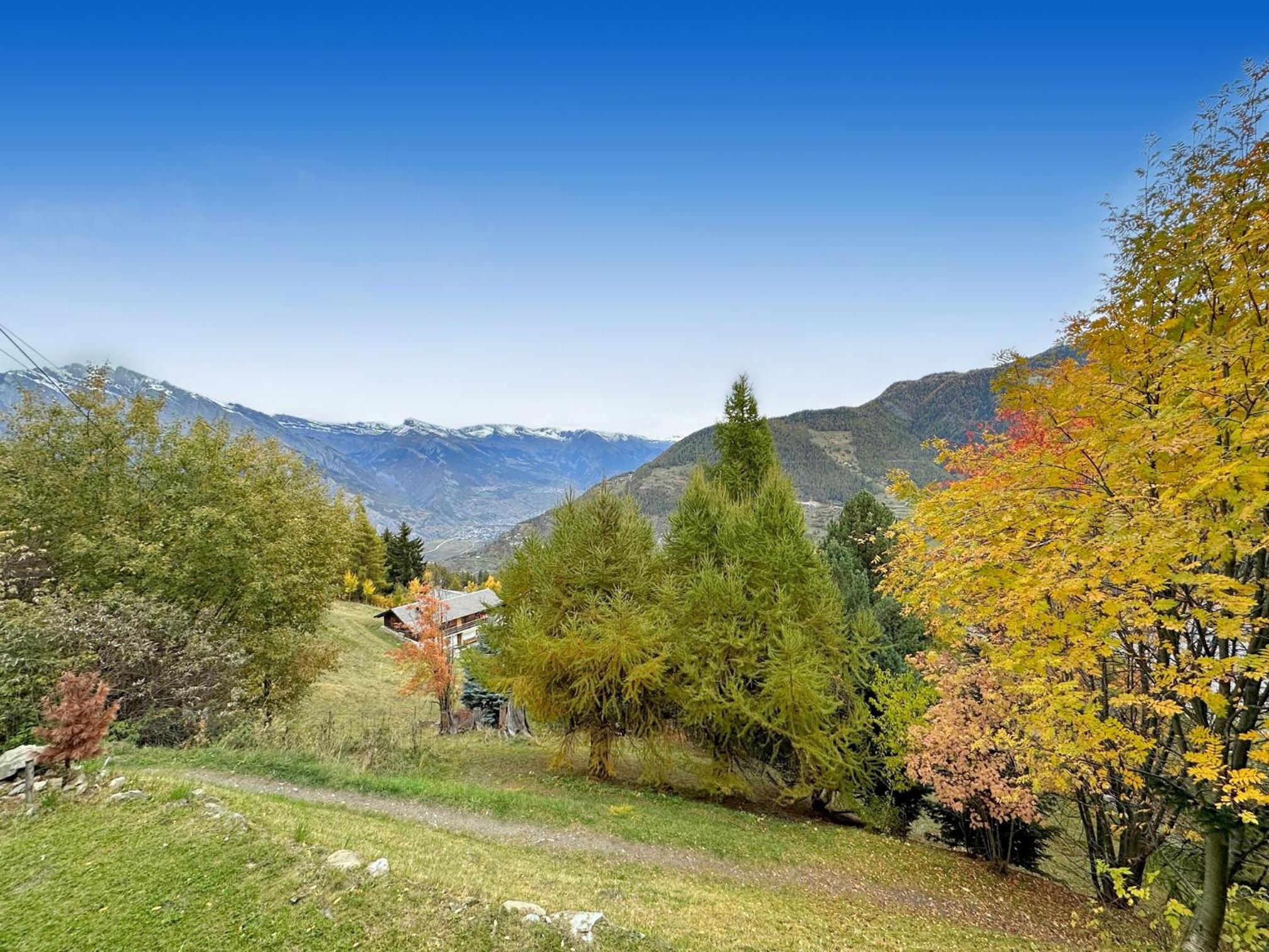 Chalet a Didi - Alps Paradise - 4 Vallees