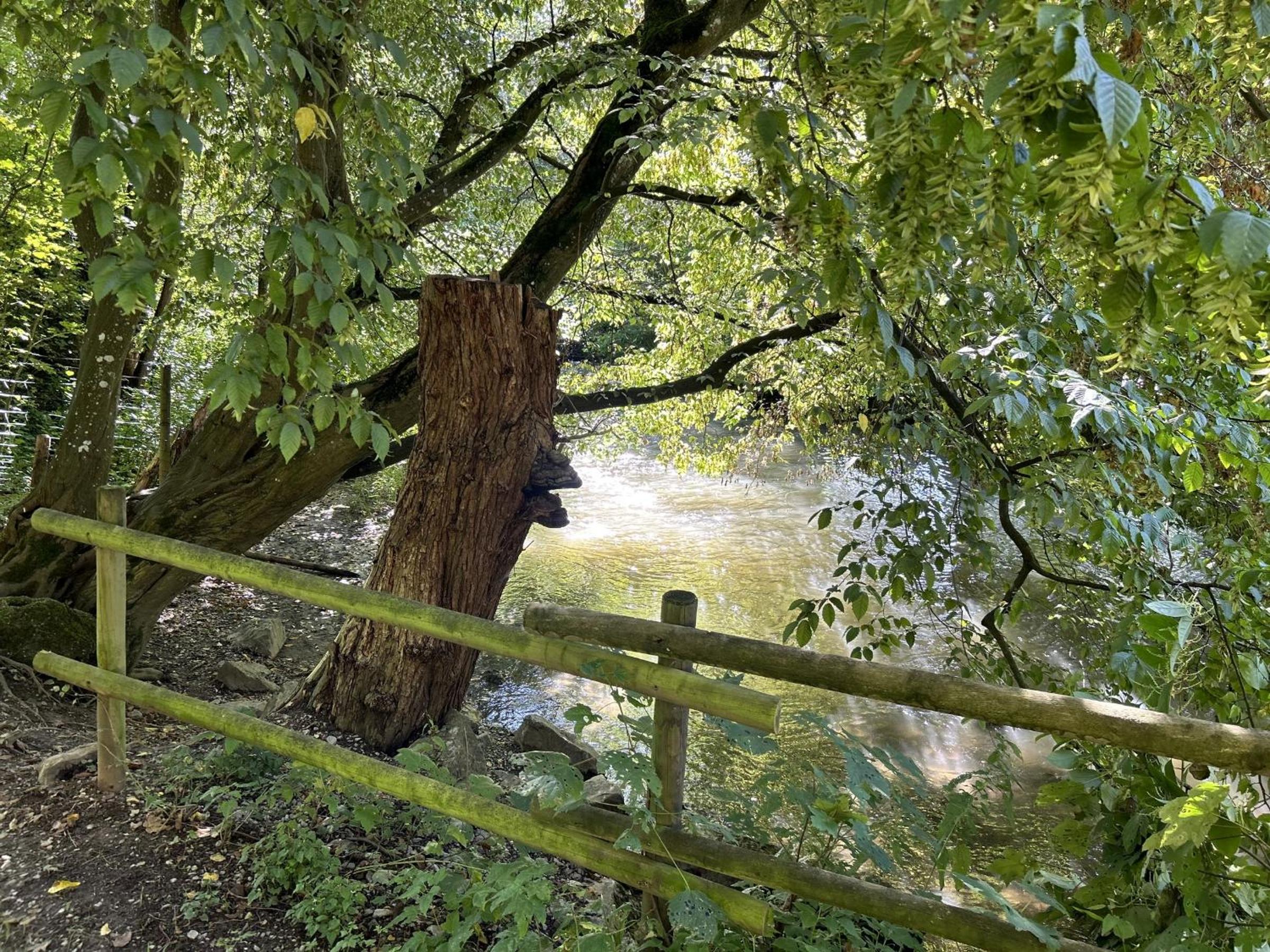 Ferienwohnung Sauerland an der Ruhr