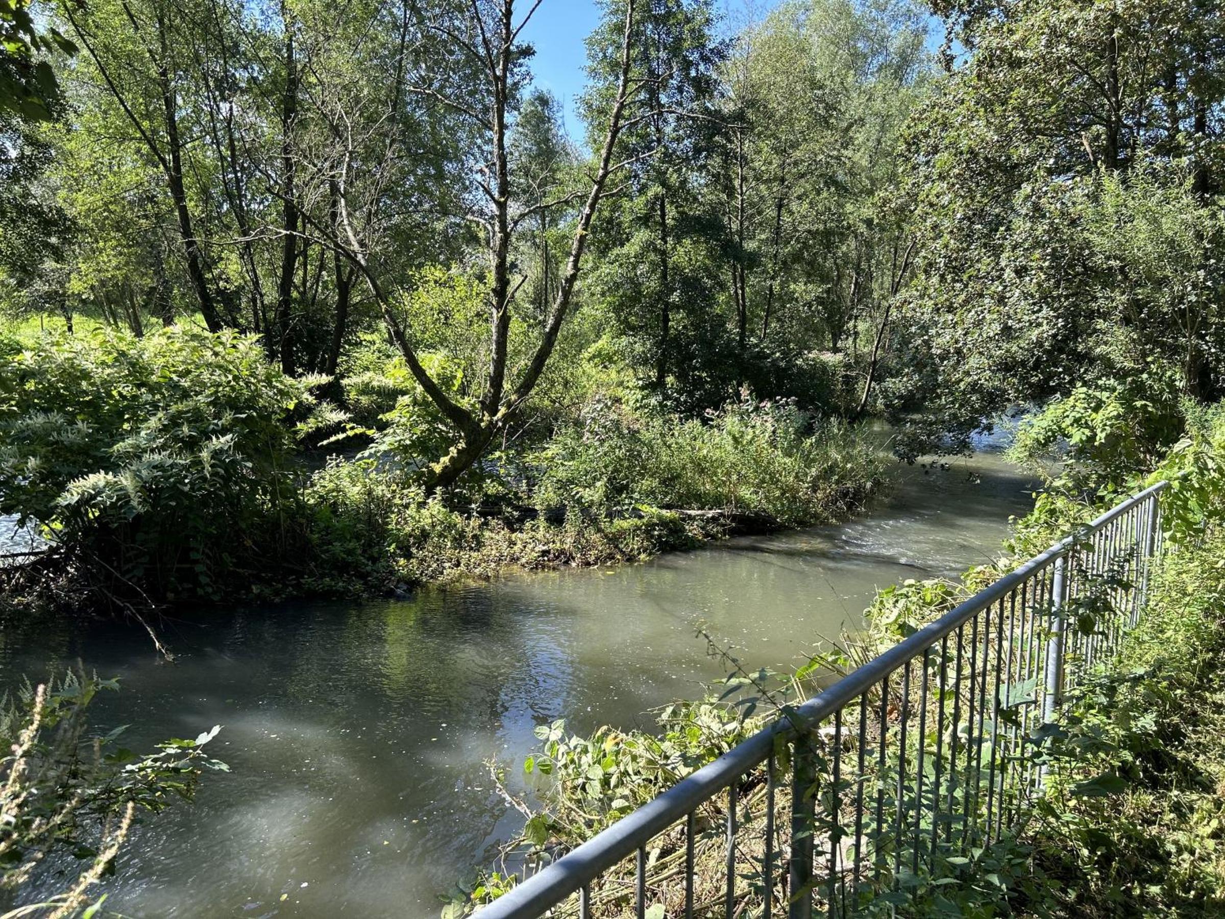 Ferienwohnung Sauerland an der Ruhr