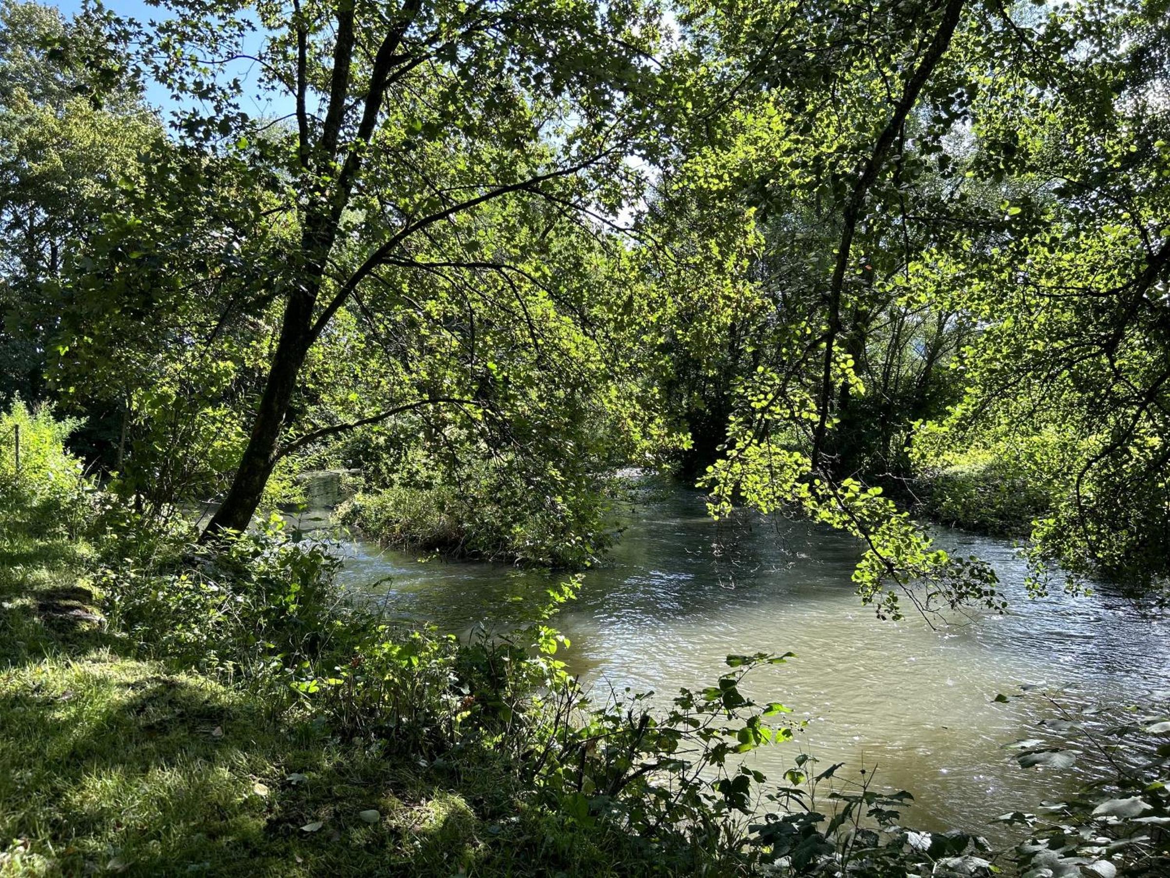 Ferienwohnung Sauerland an der Ruhr