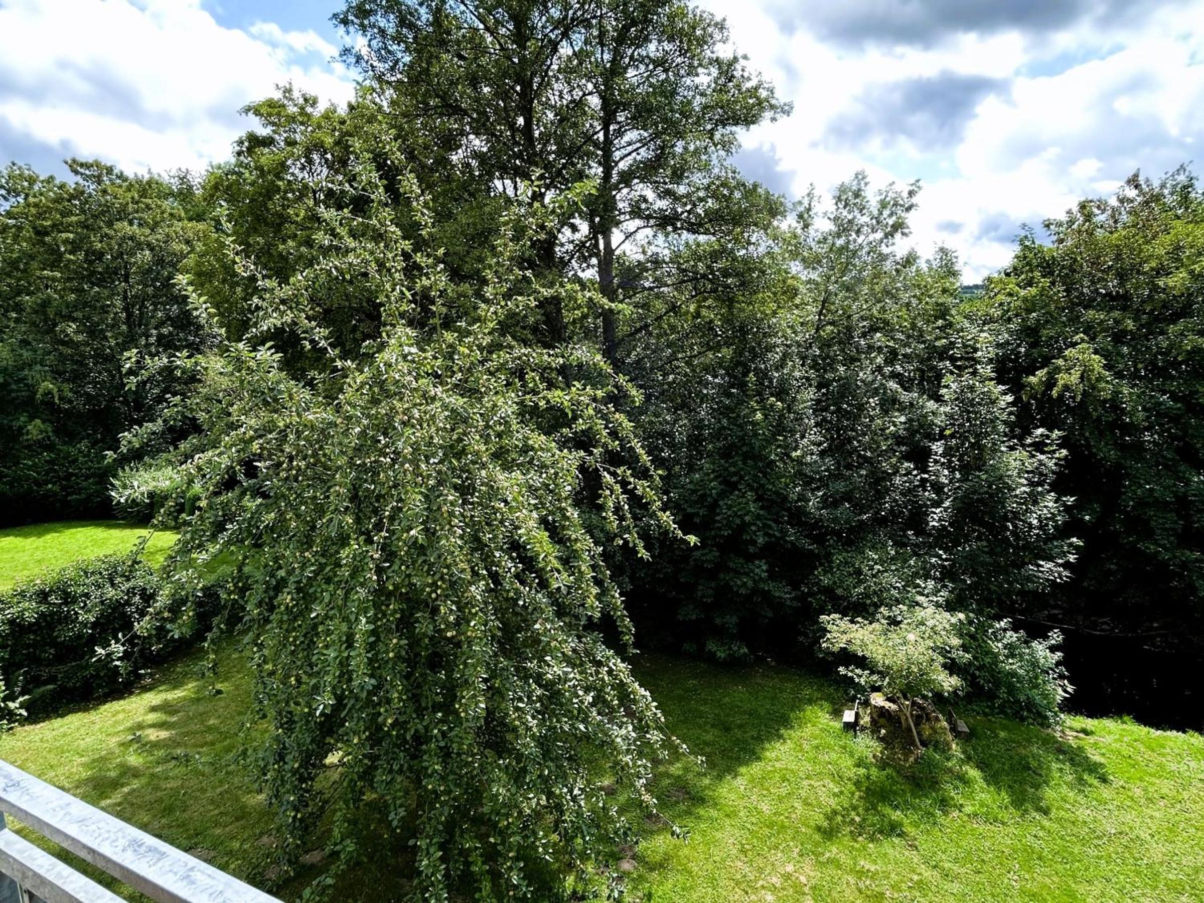 Ferienwohnung Sauerland an der Ruhr