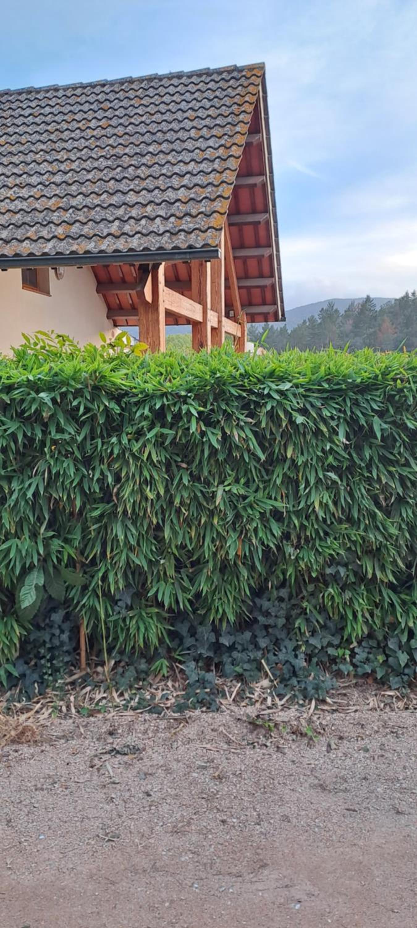 Chalet Entre Parques Naturales