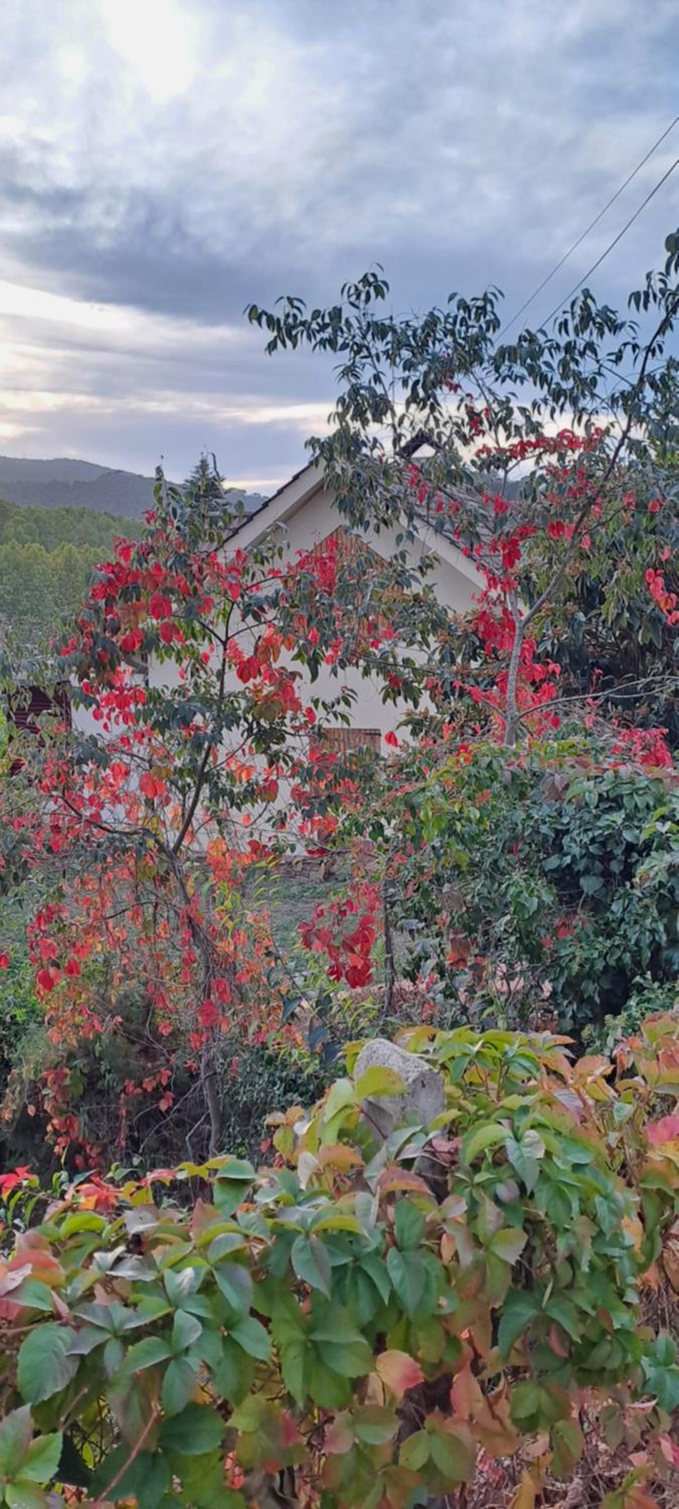Chalet Entre Parques Naturales