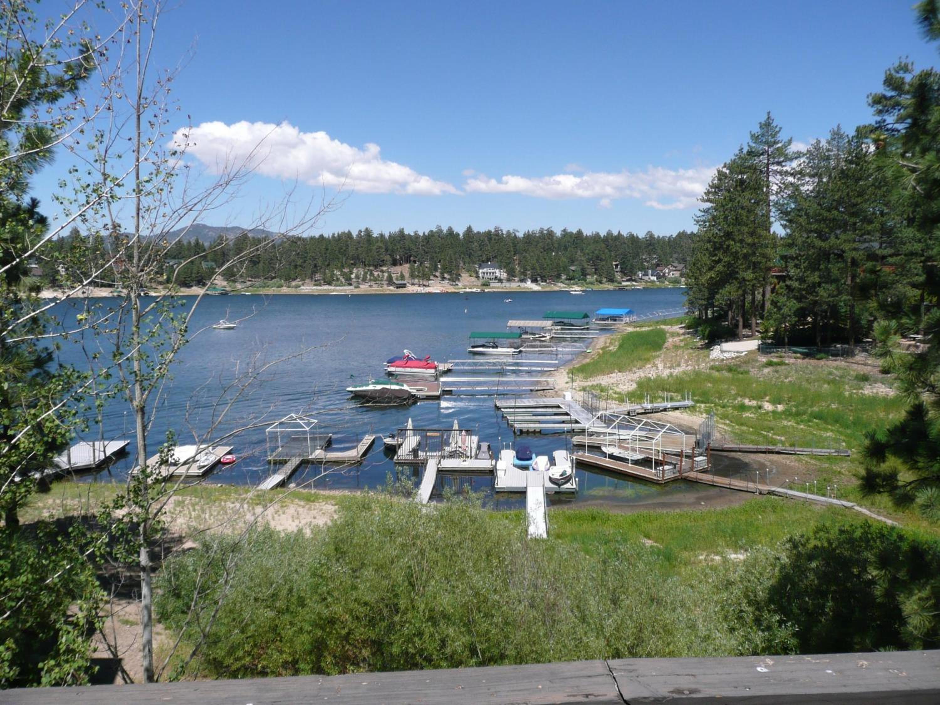 Photo 40