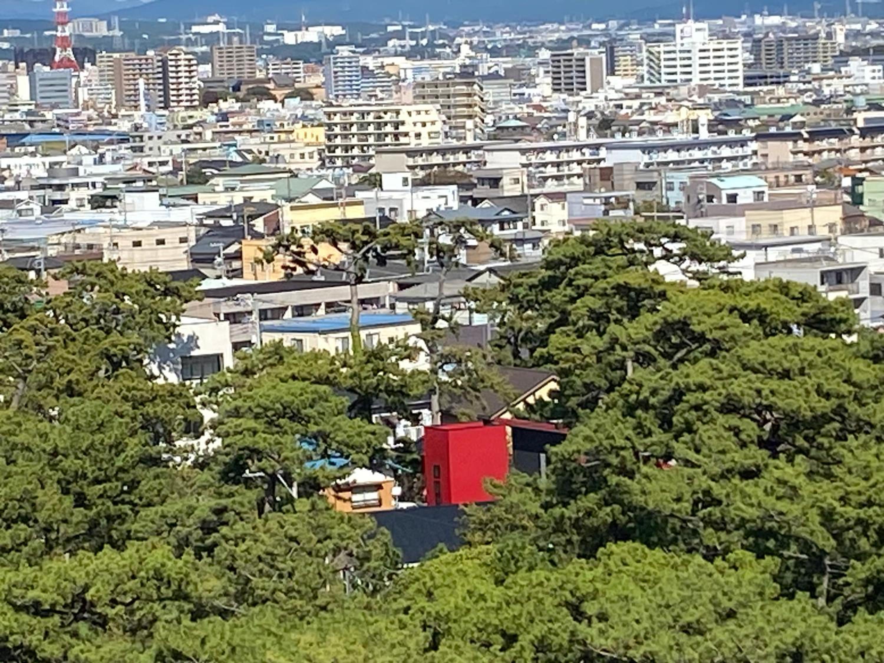Minato Oasis Numazu / 沼津観光の中心、伊豆観光の拠点に好立地!沼津港に位置し交通・飲食・コンビニ等至便です!, Numazu - 10