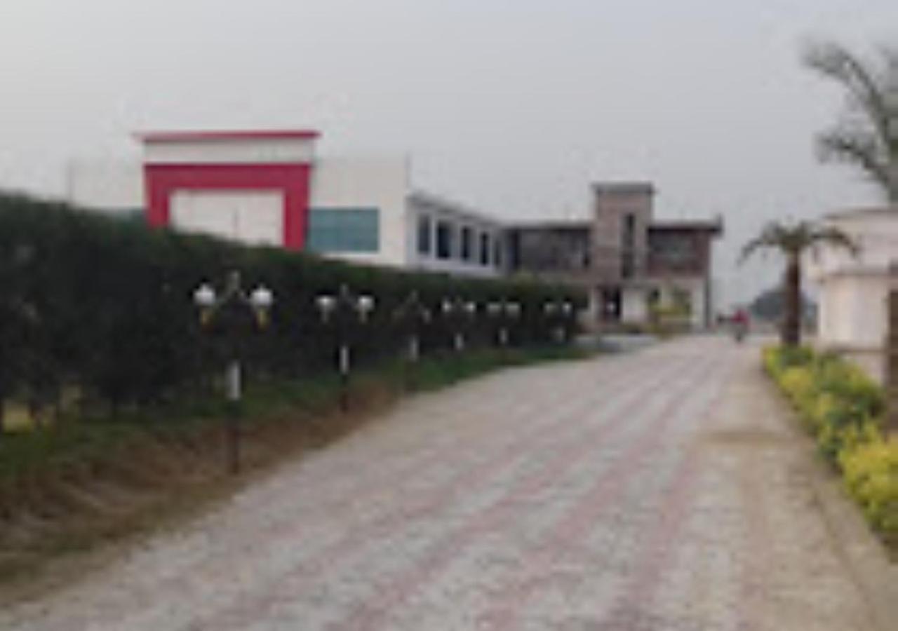 Photo 20