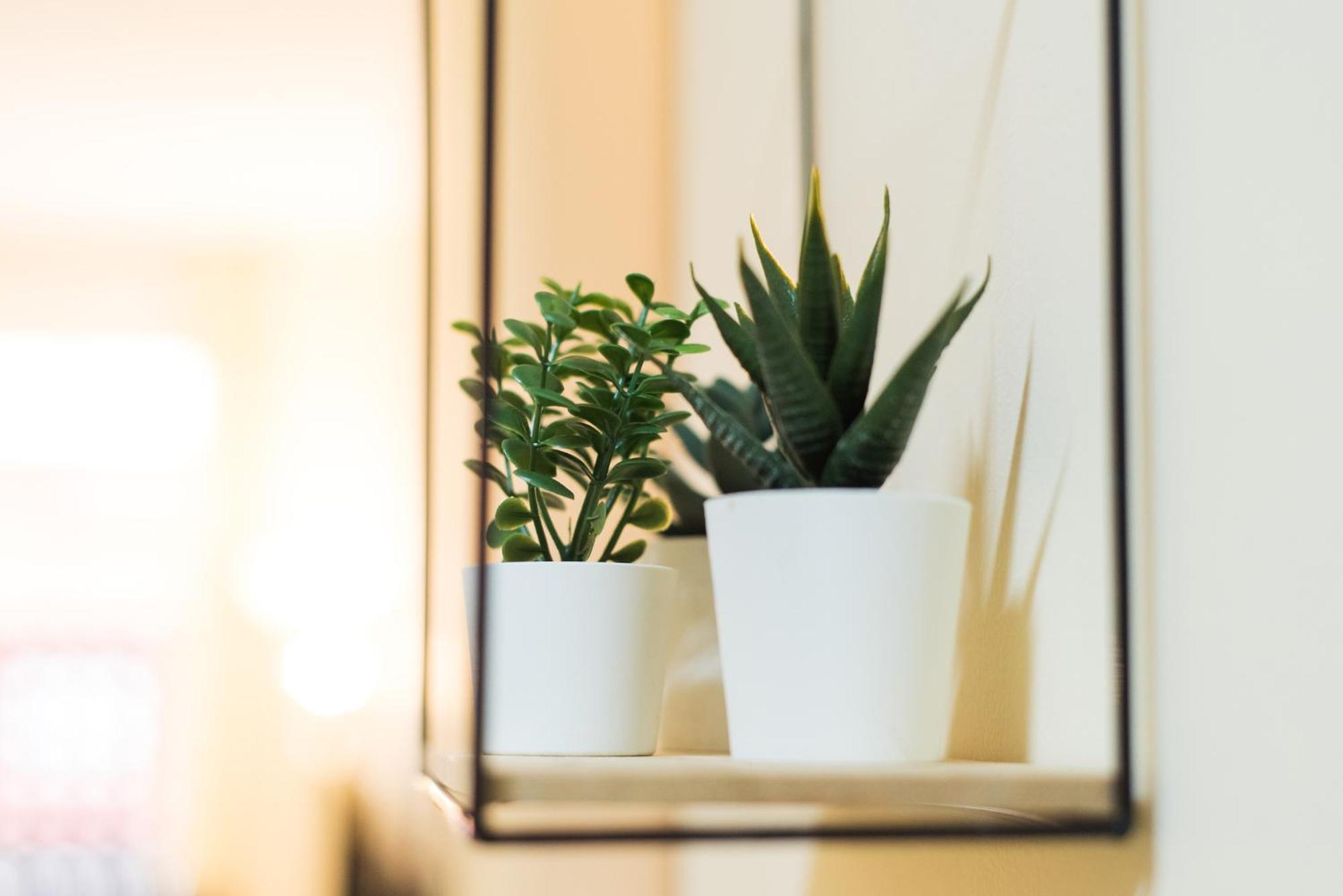 VICTORIA SQUARE- CENTER Apartment