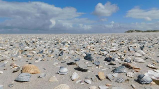 Rust aan de kust