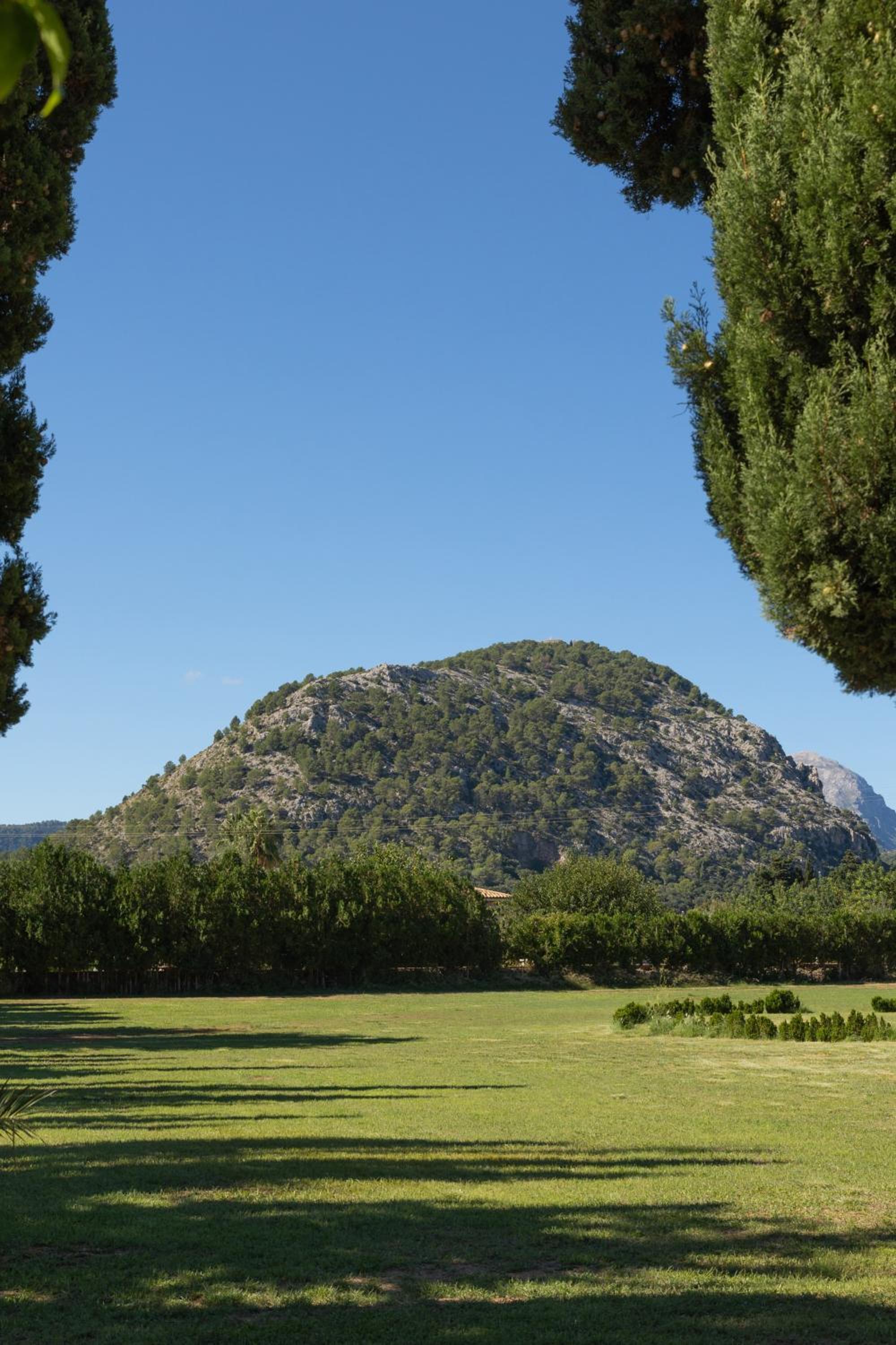 Buccara Casa Gran Daniel I