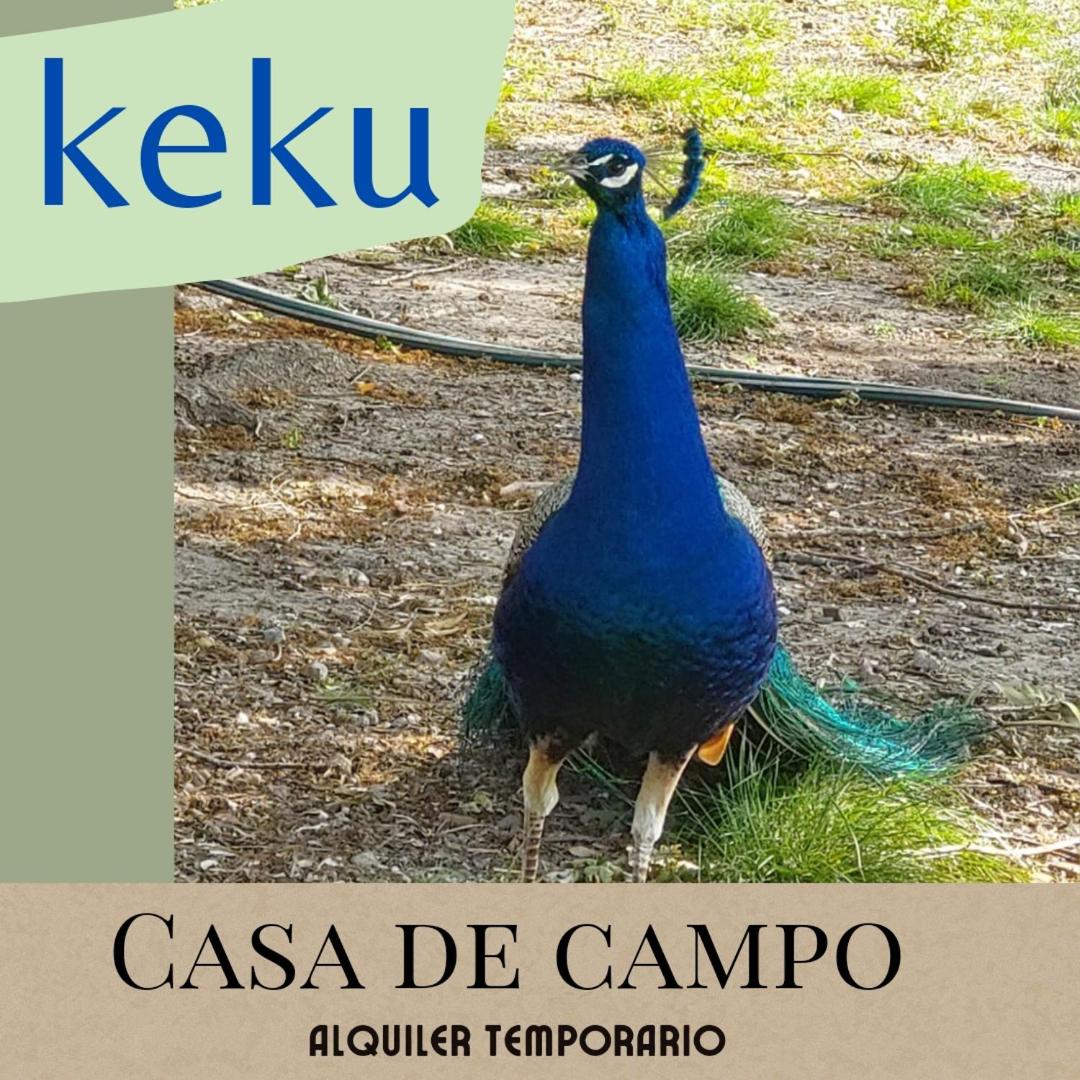 Keku Casa de campo