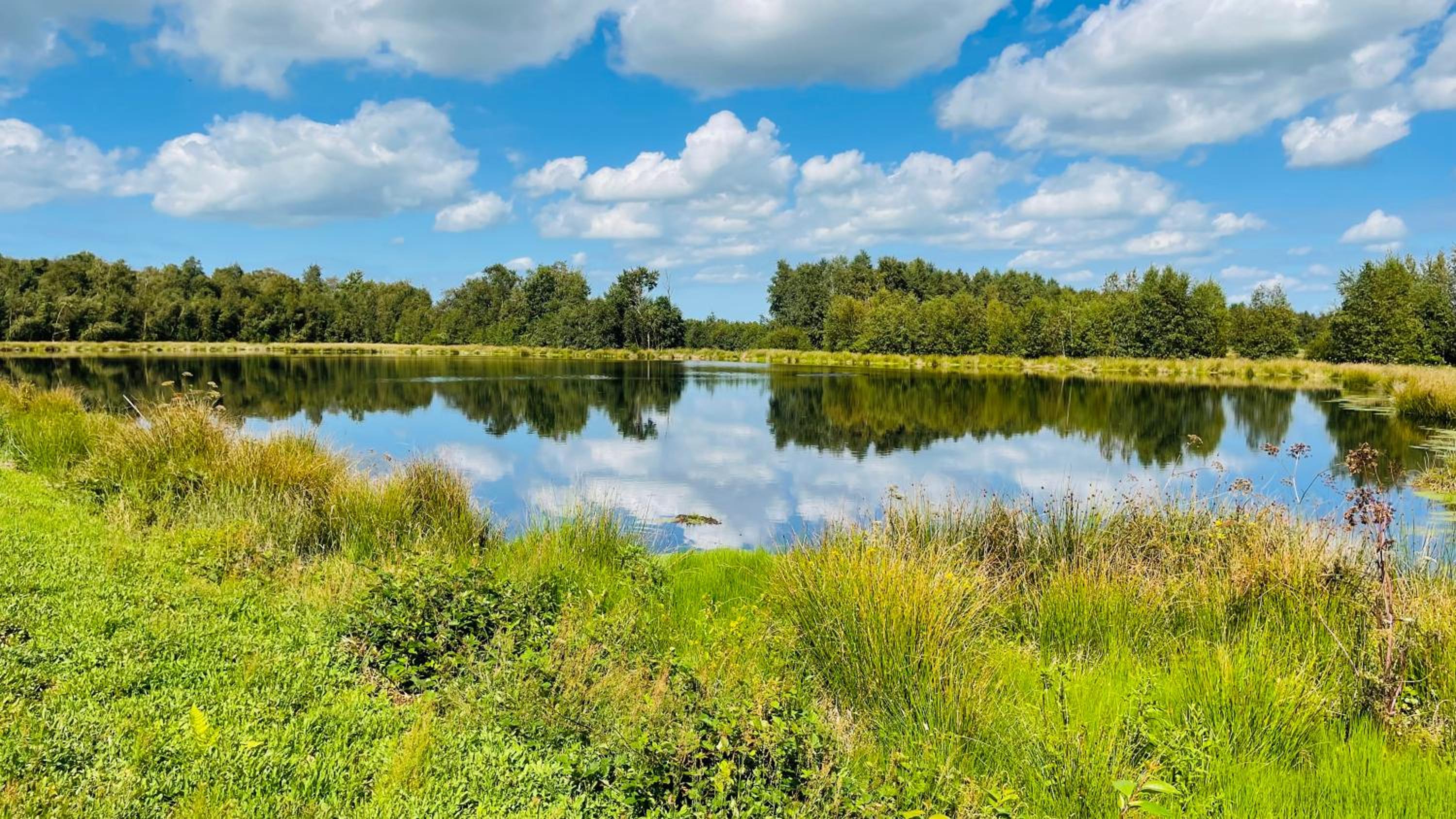 Kleine Burg Ovelgönne
