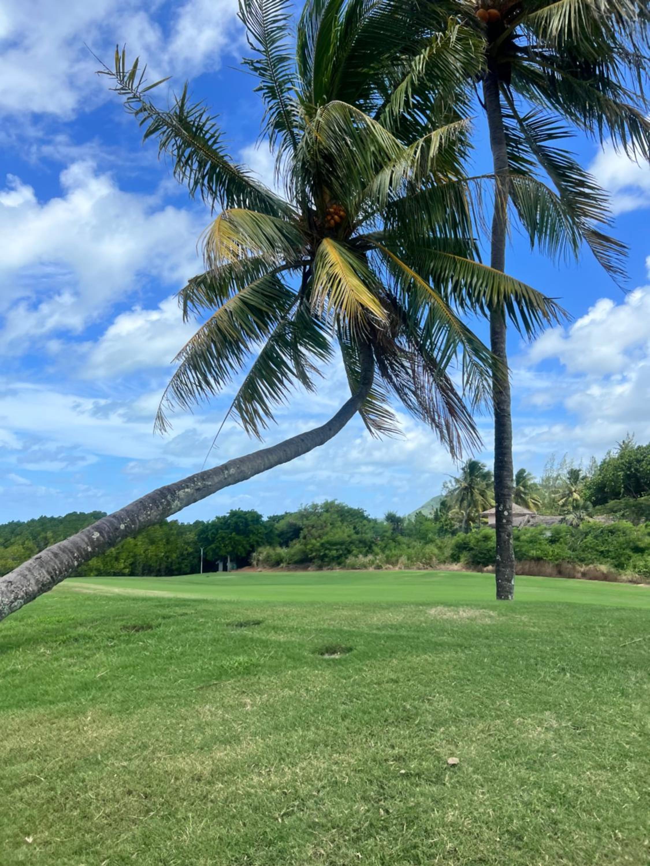 Villa Luxury Anahita