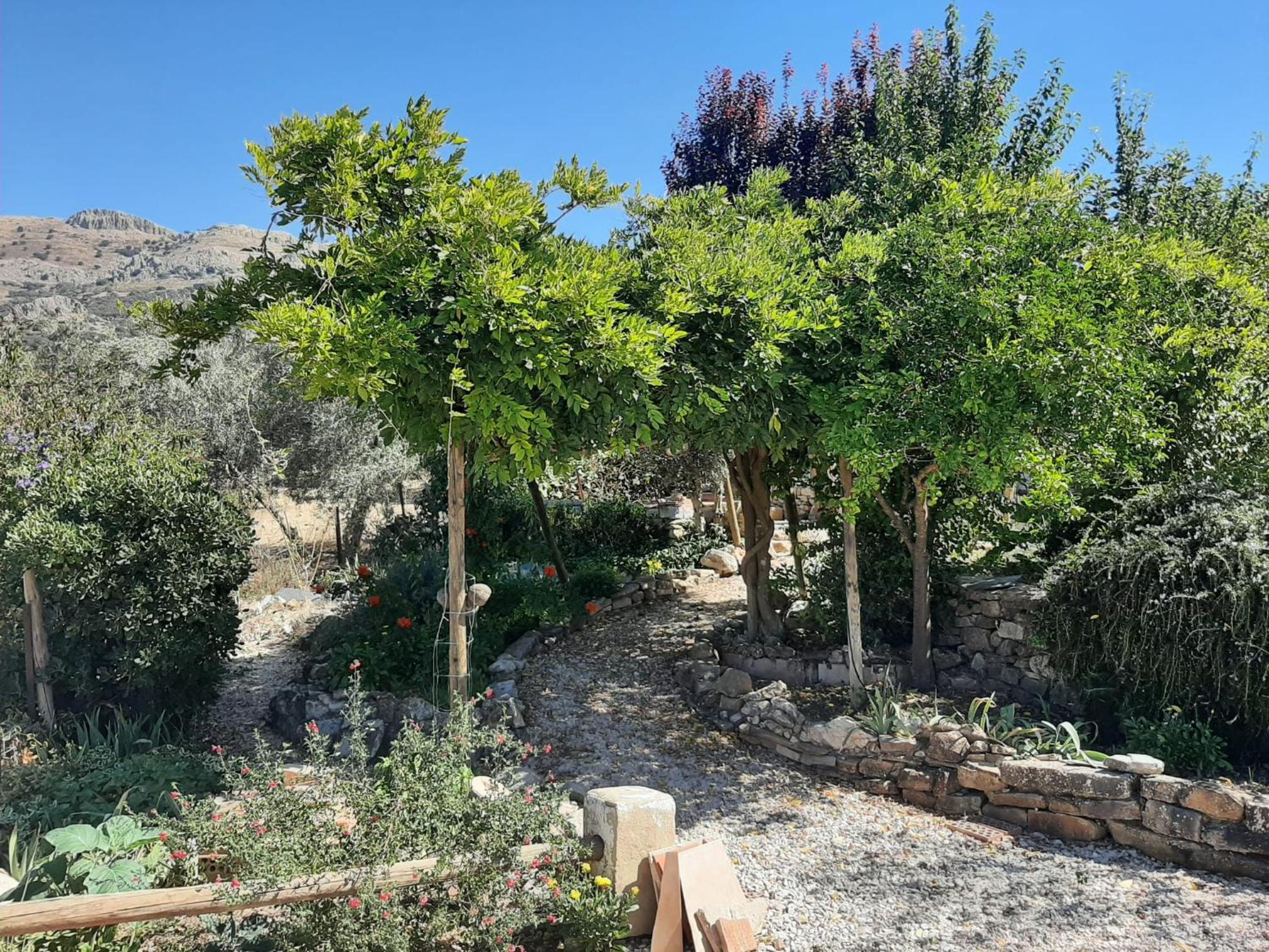 Cortijo Ramonsillos