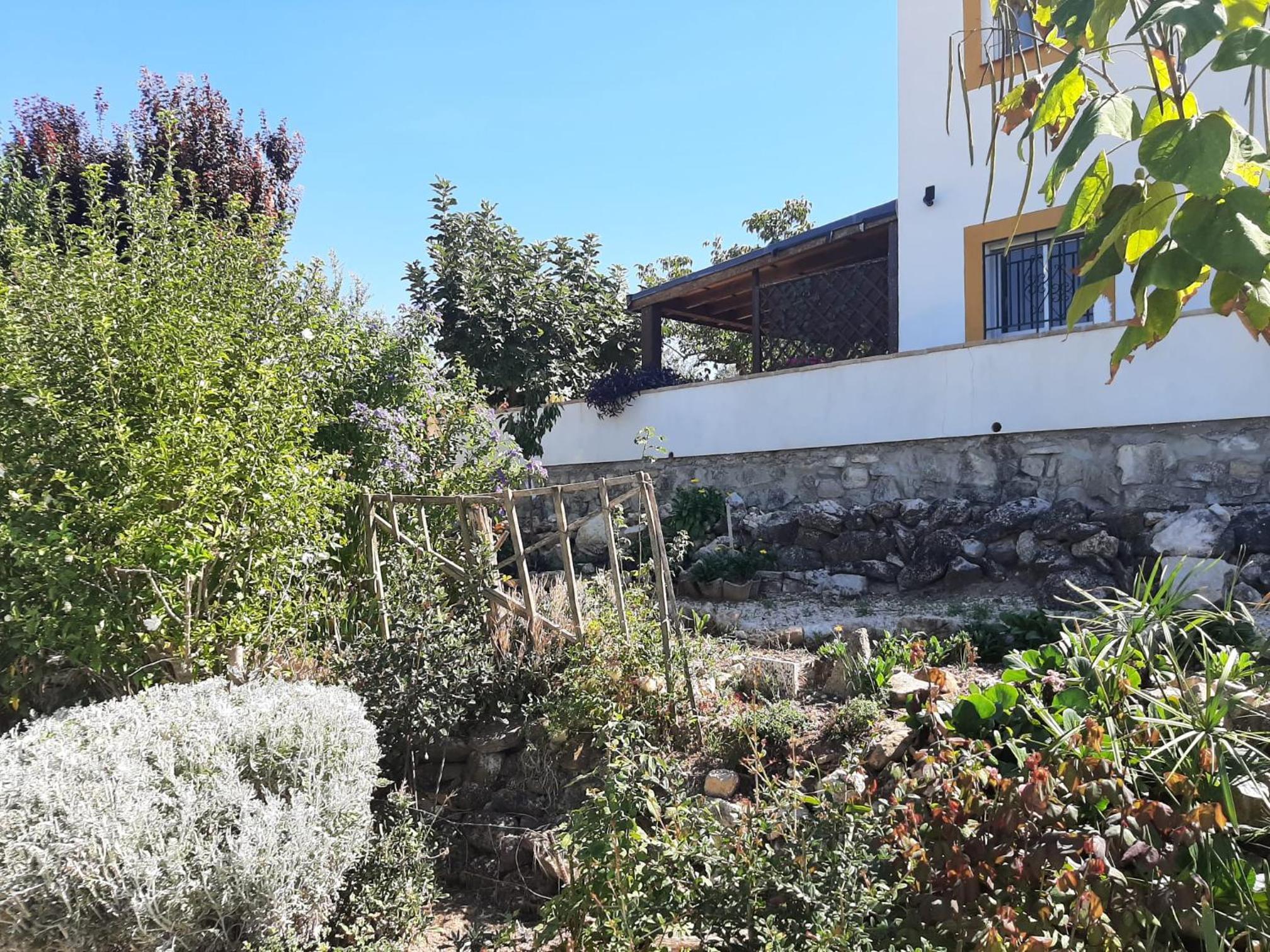 Cortijo Ramonsillos
