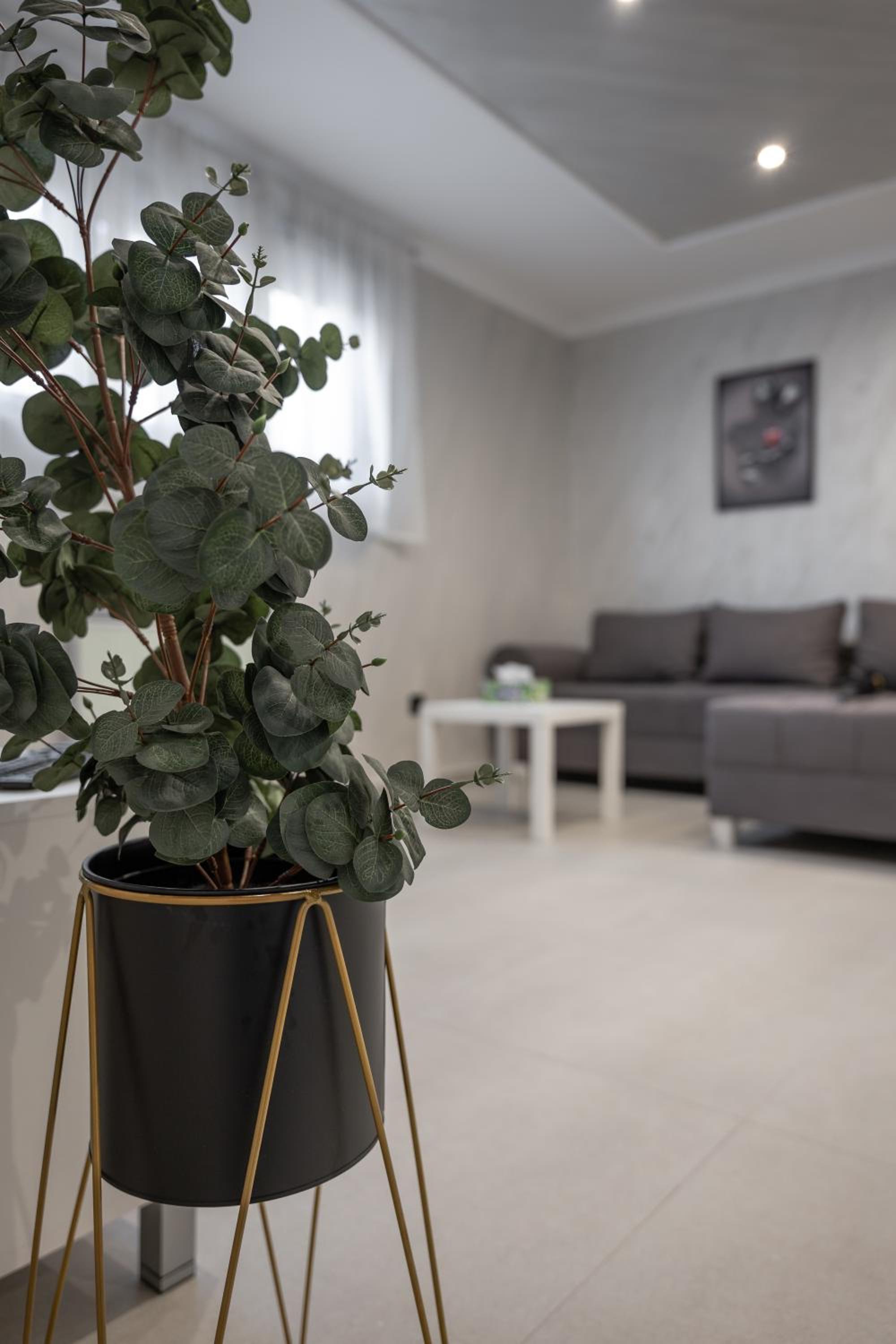 JOY APARTMENTS Zemun,Beograd