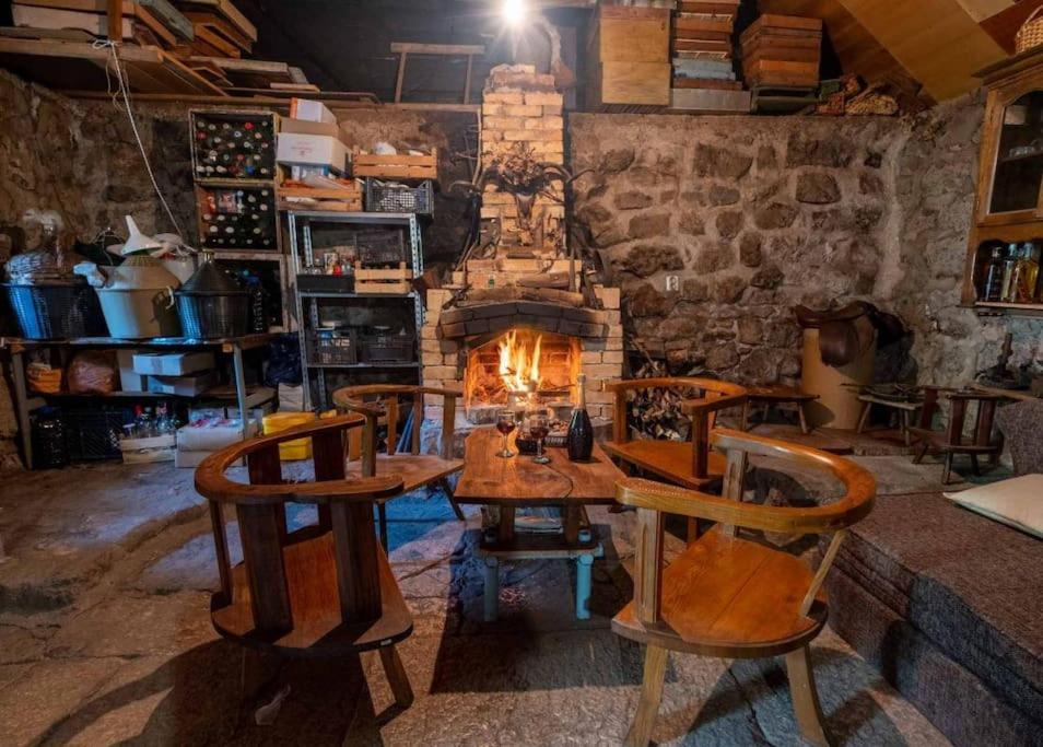 Family Vujic household - with organic fare photo 3