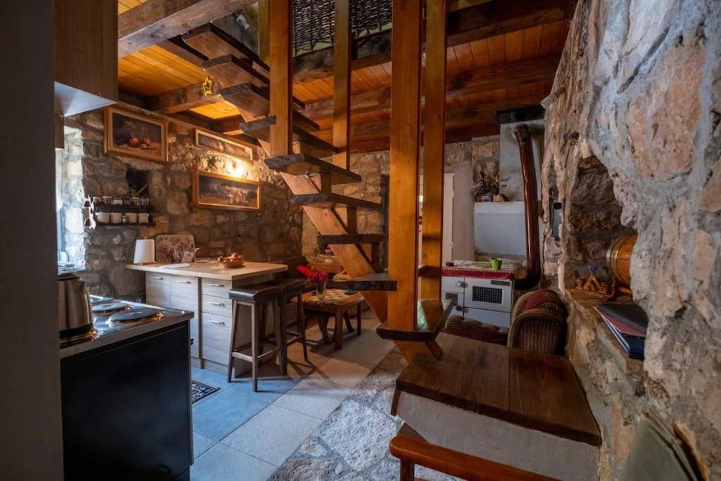 Family Vujic household - with organic fare photo 4