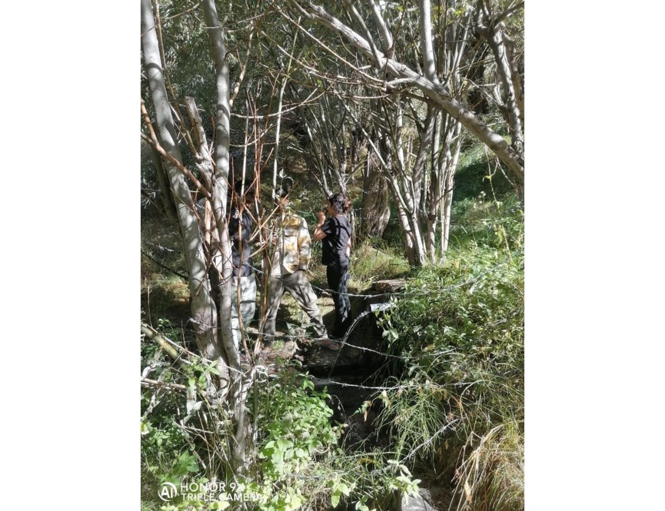 Photo 12