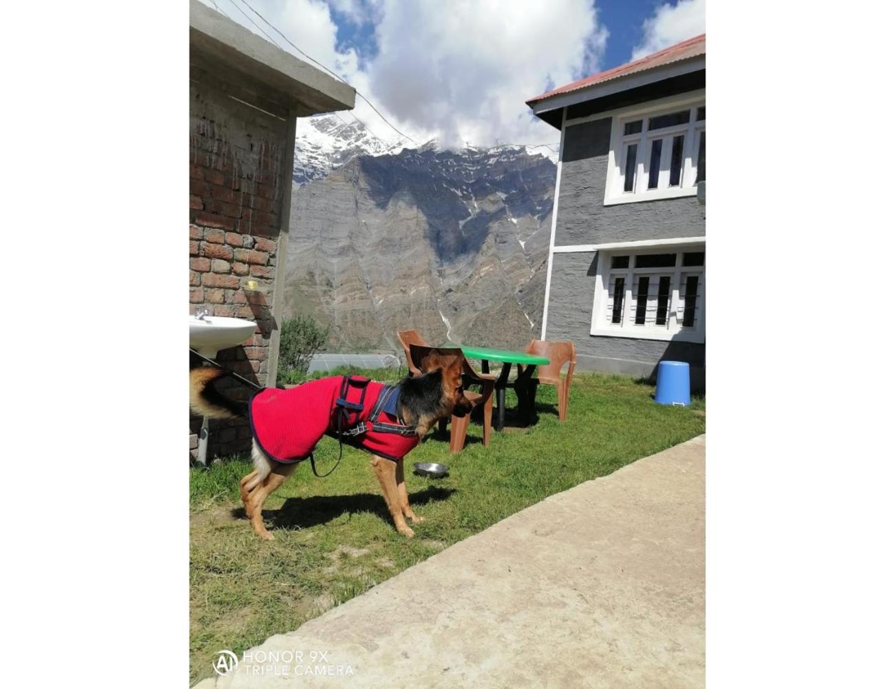 Photo 14