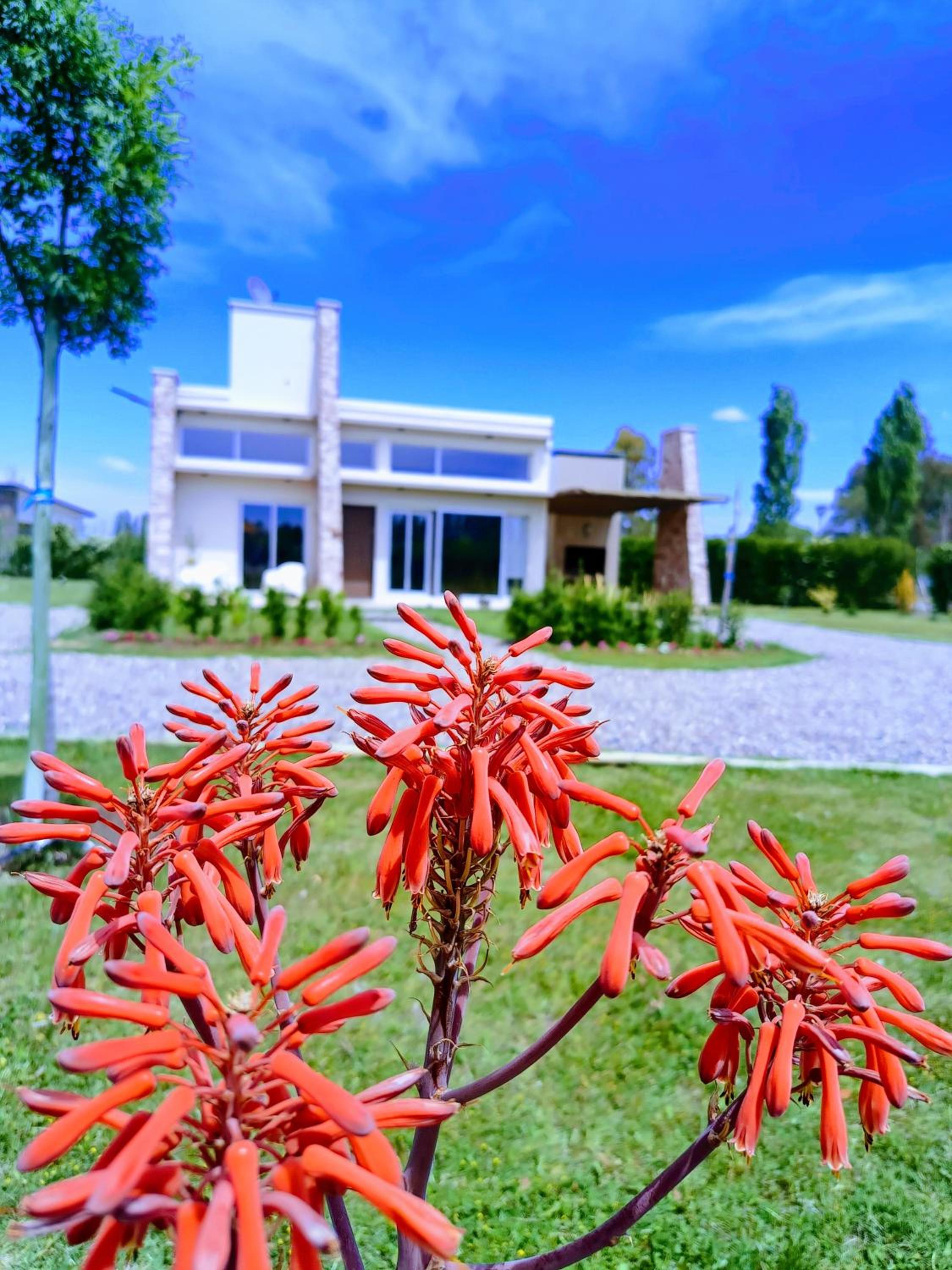 De Alma Tinta - Petit Chalet