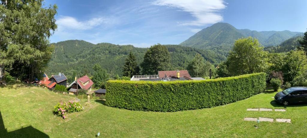 Art in Waldfrieden