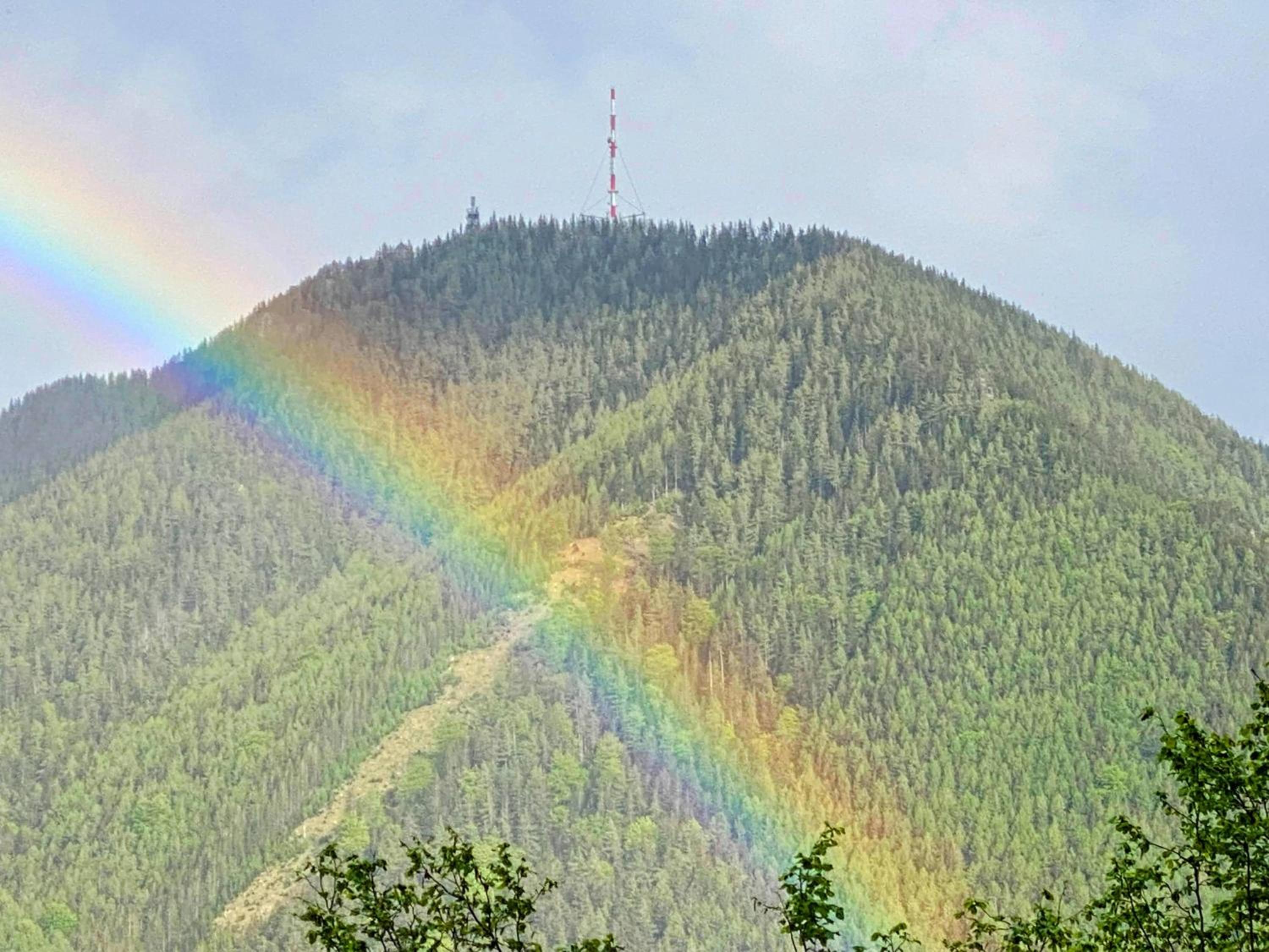 Art in Waldfrieden