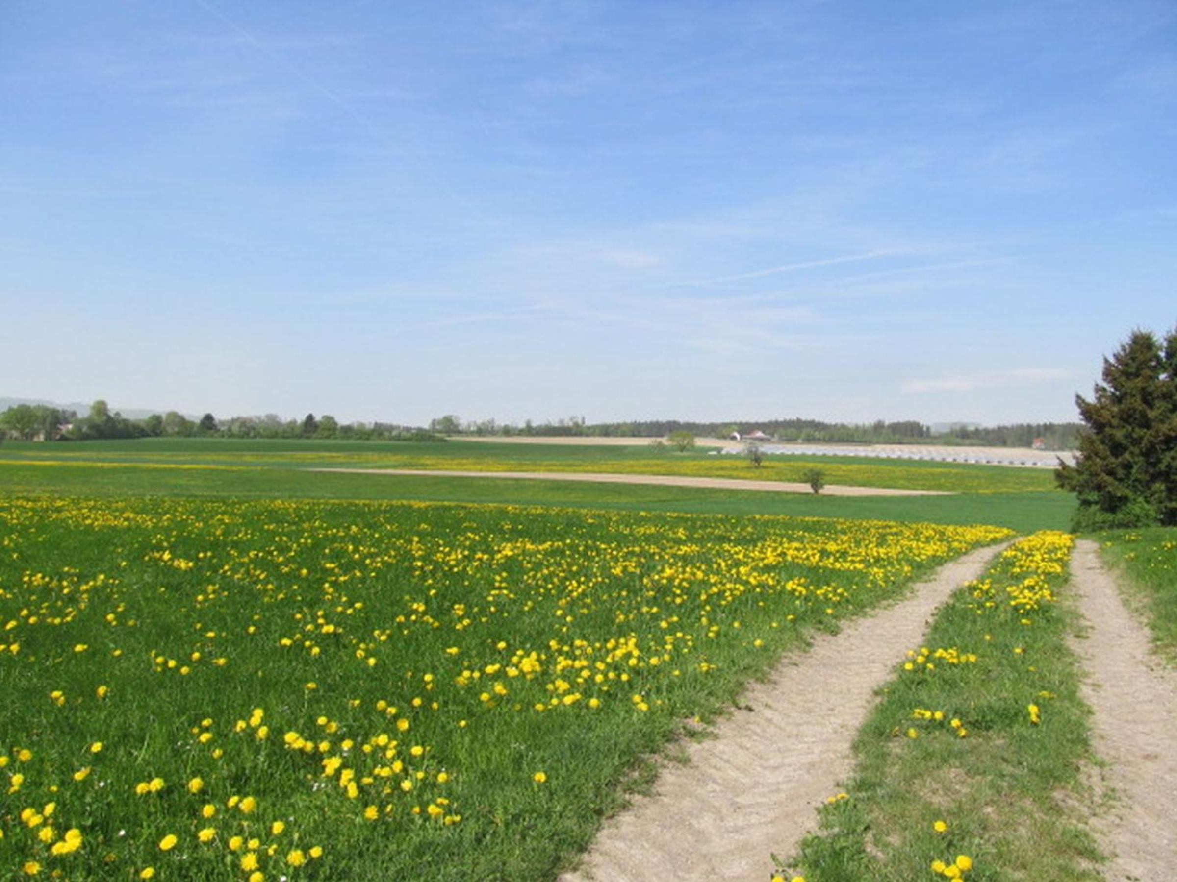 Ferienwohnungen Kolb