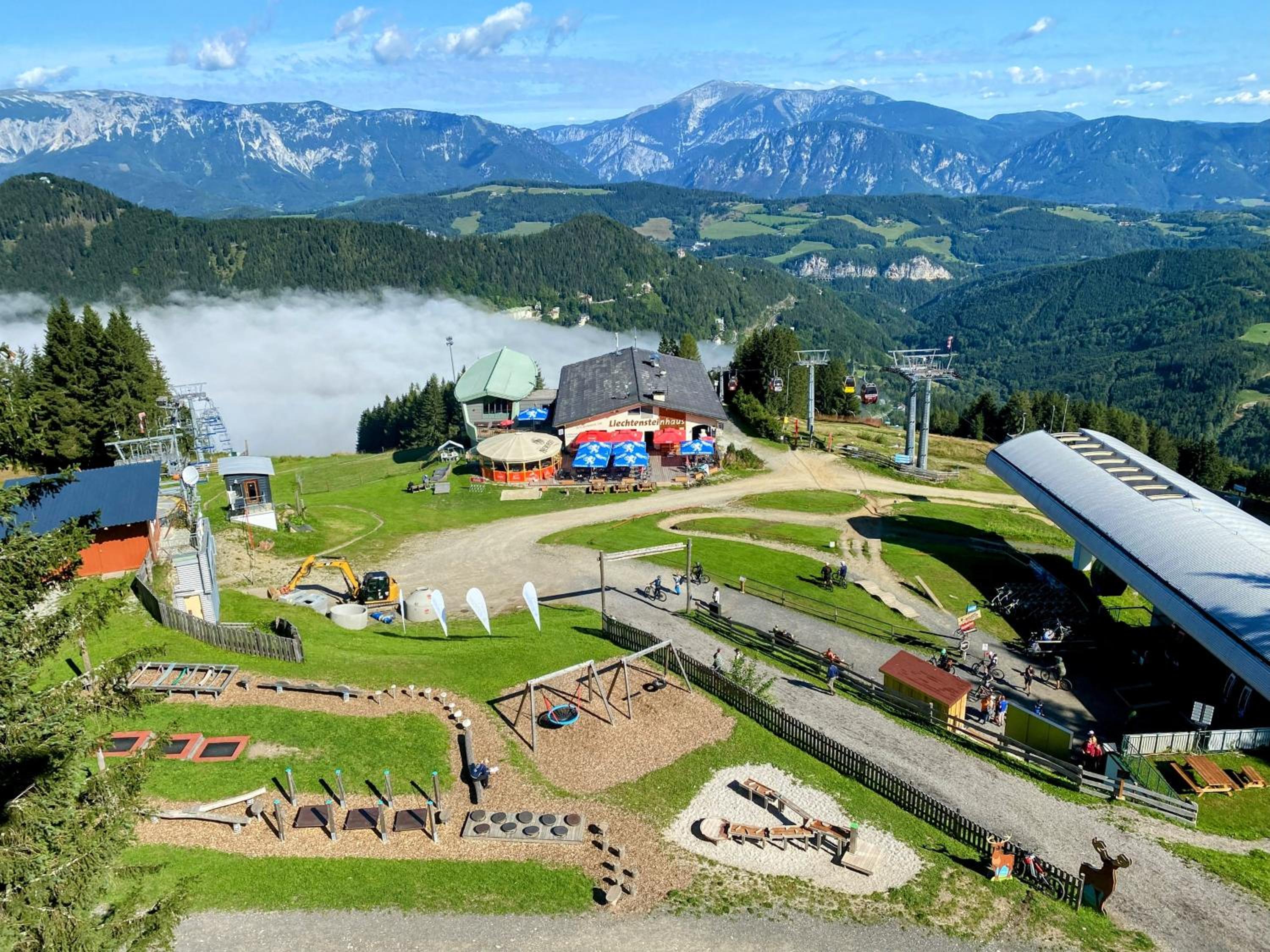 Art in Waldfrieden