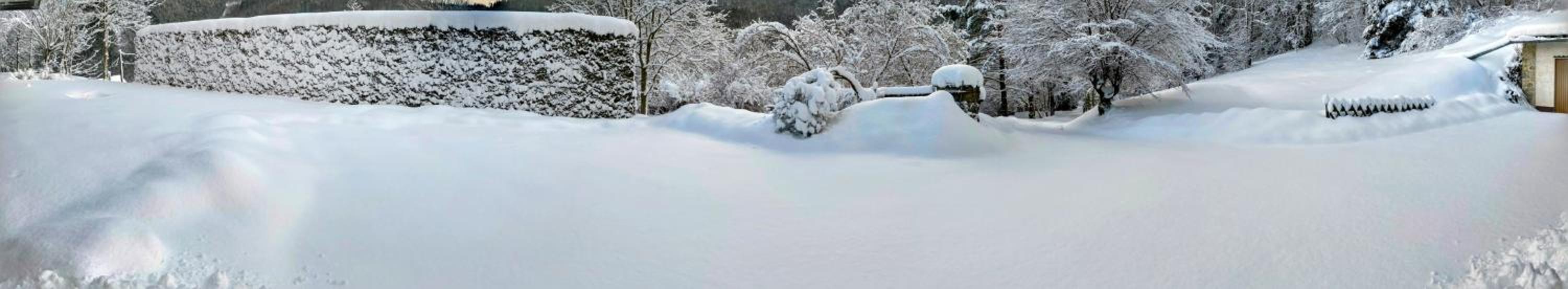 Art in Waldfrieden
