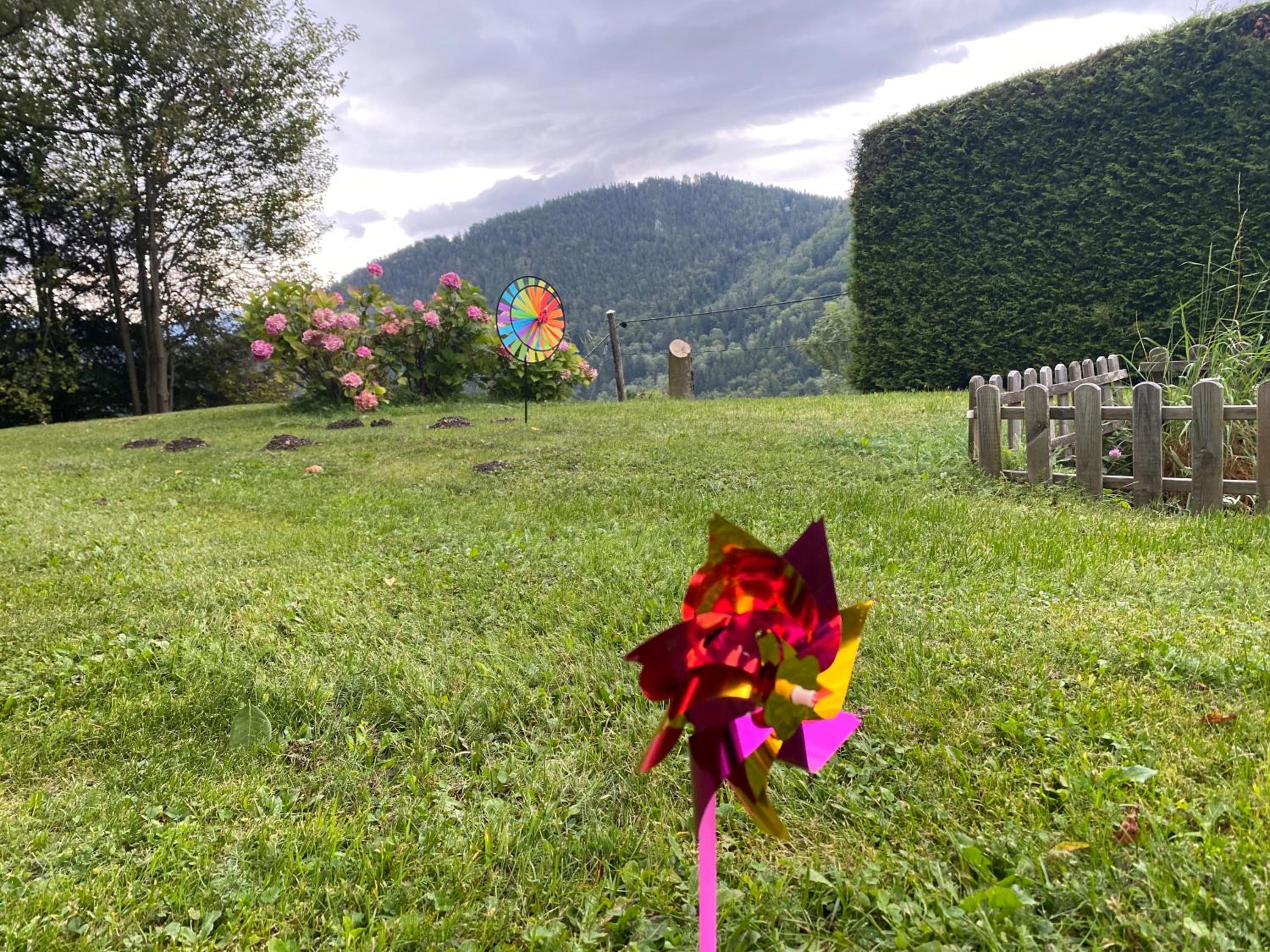 Art in Waldfrieden