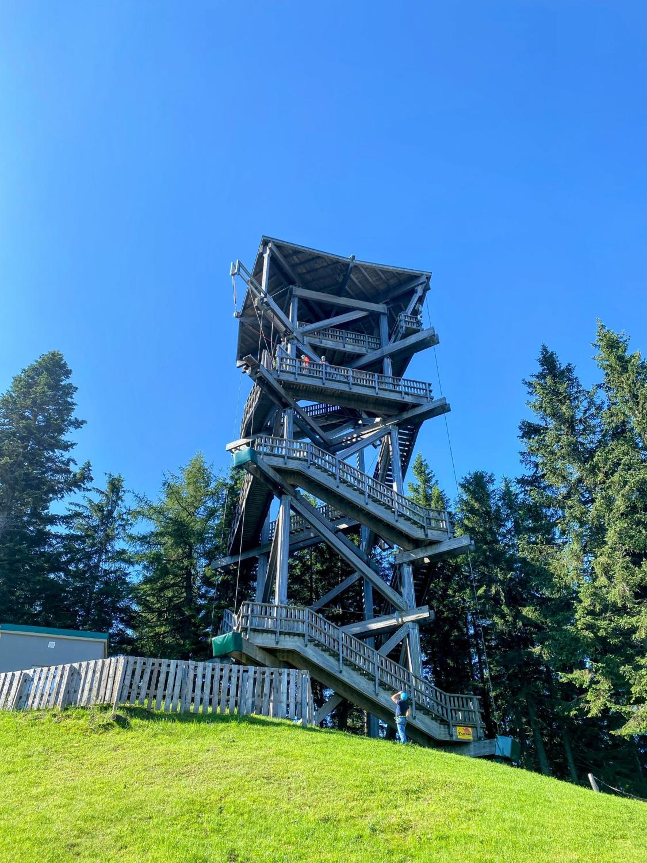 Art in Waldfrieden