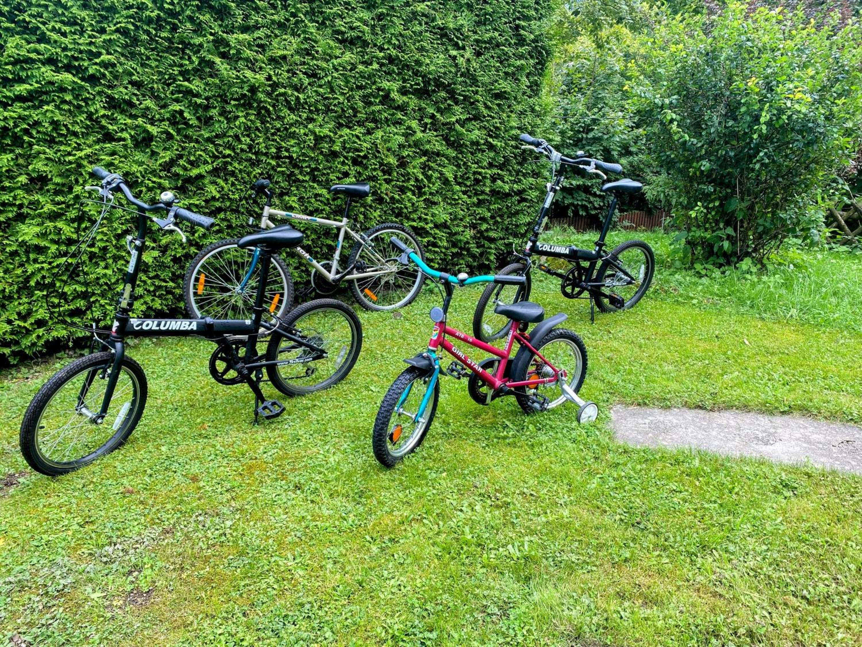 Art in Waldfrieden