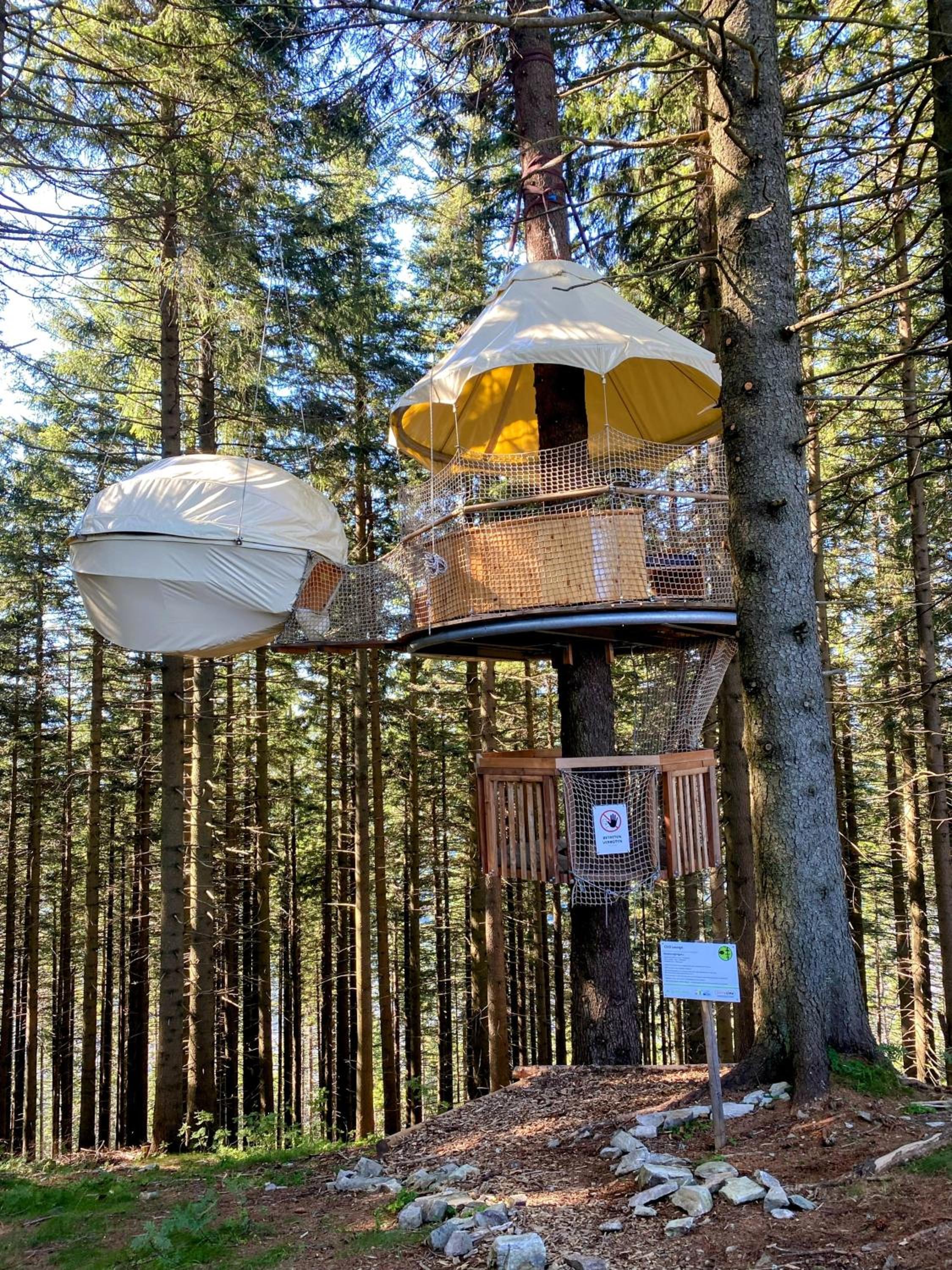 Art in Waldfrieden