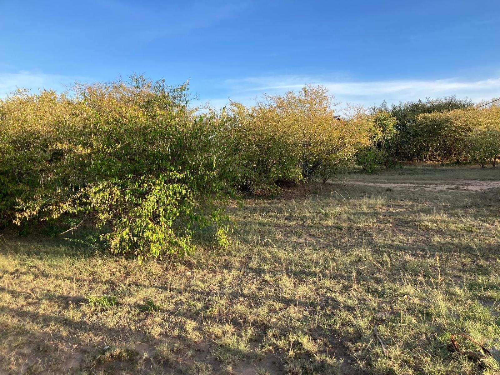 Kambu Mara Camp view 3