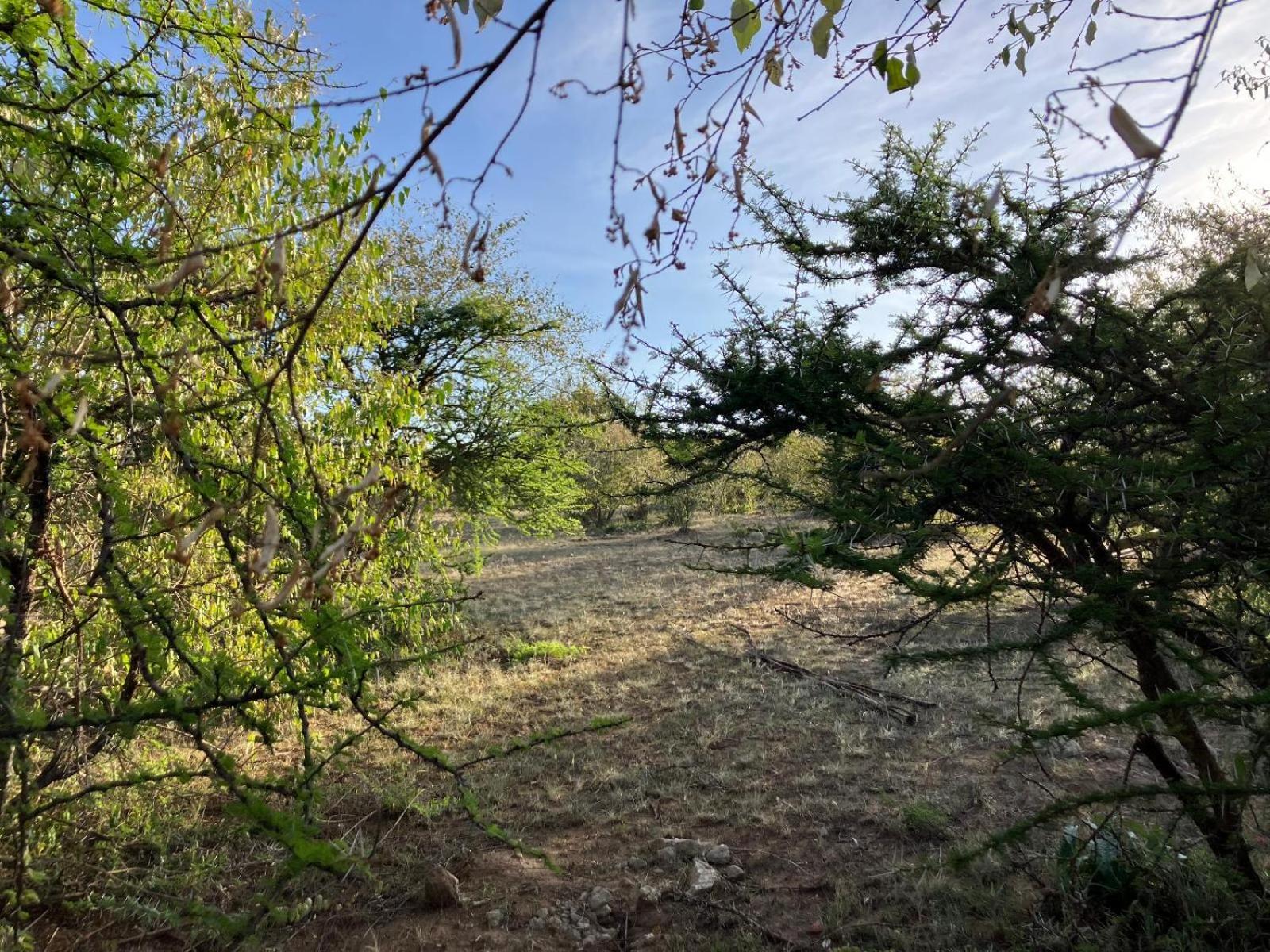 Kambu Mara Camp view 5