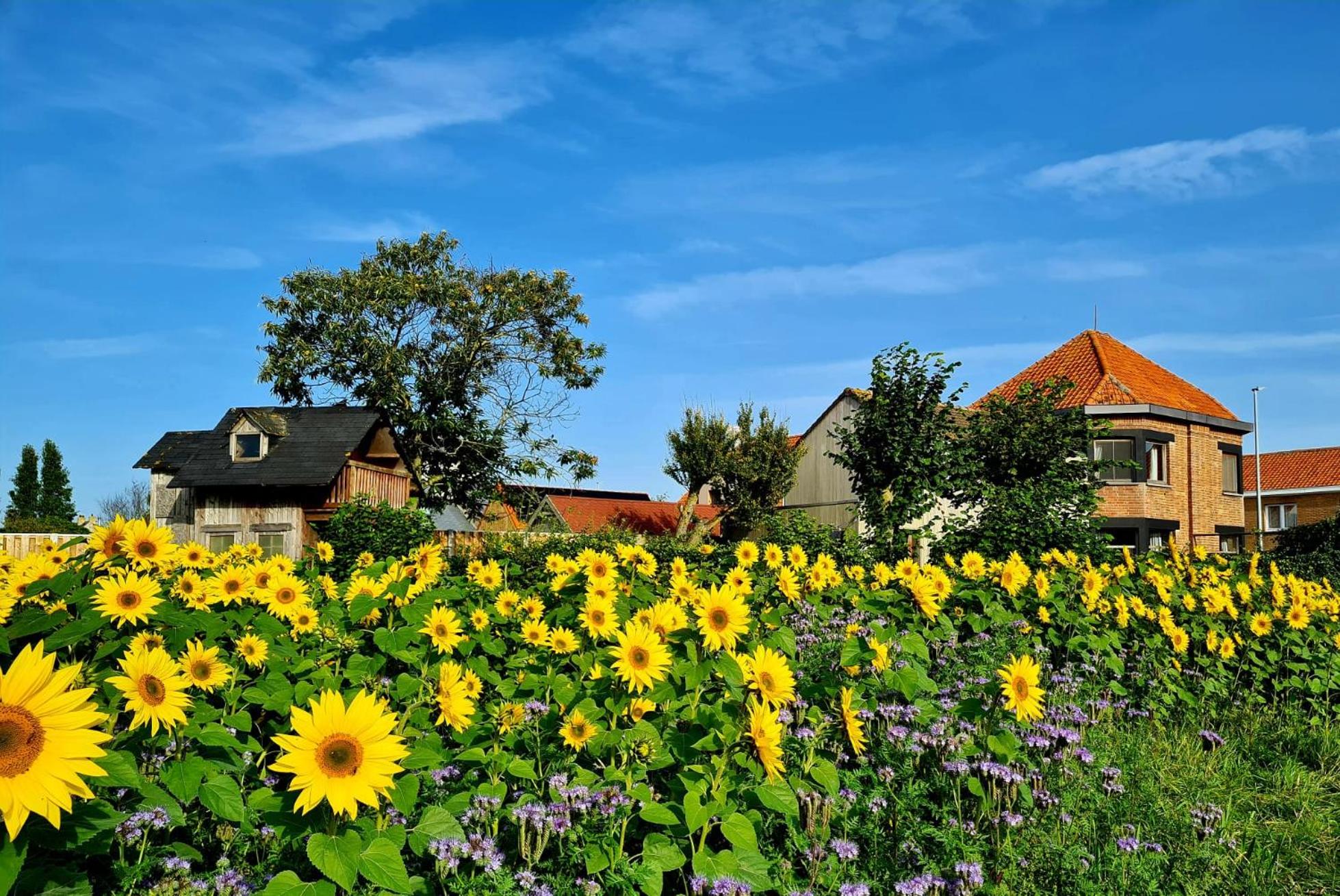 Vakantiehuis Louiselotte