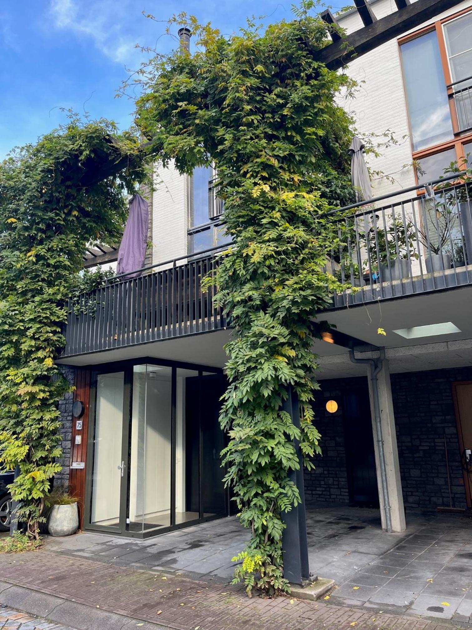 B&B Urban Oasis with Free Parking