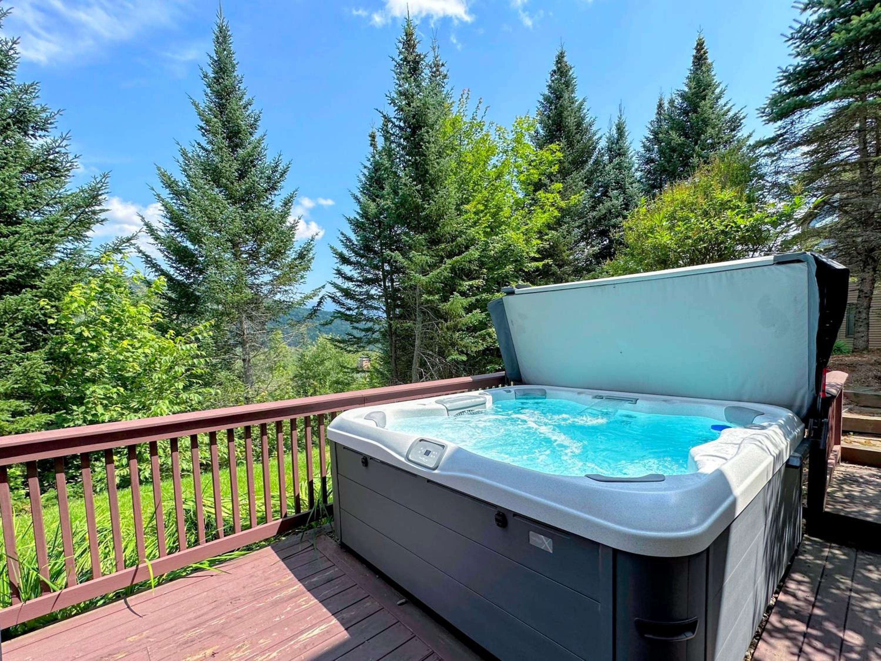 CR16 Ski-in/Out luxury home mountain views Bretton Woods view 2