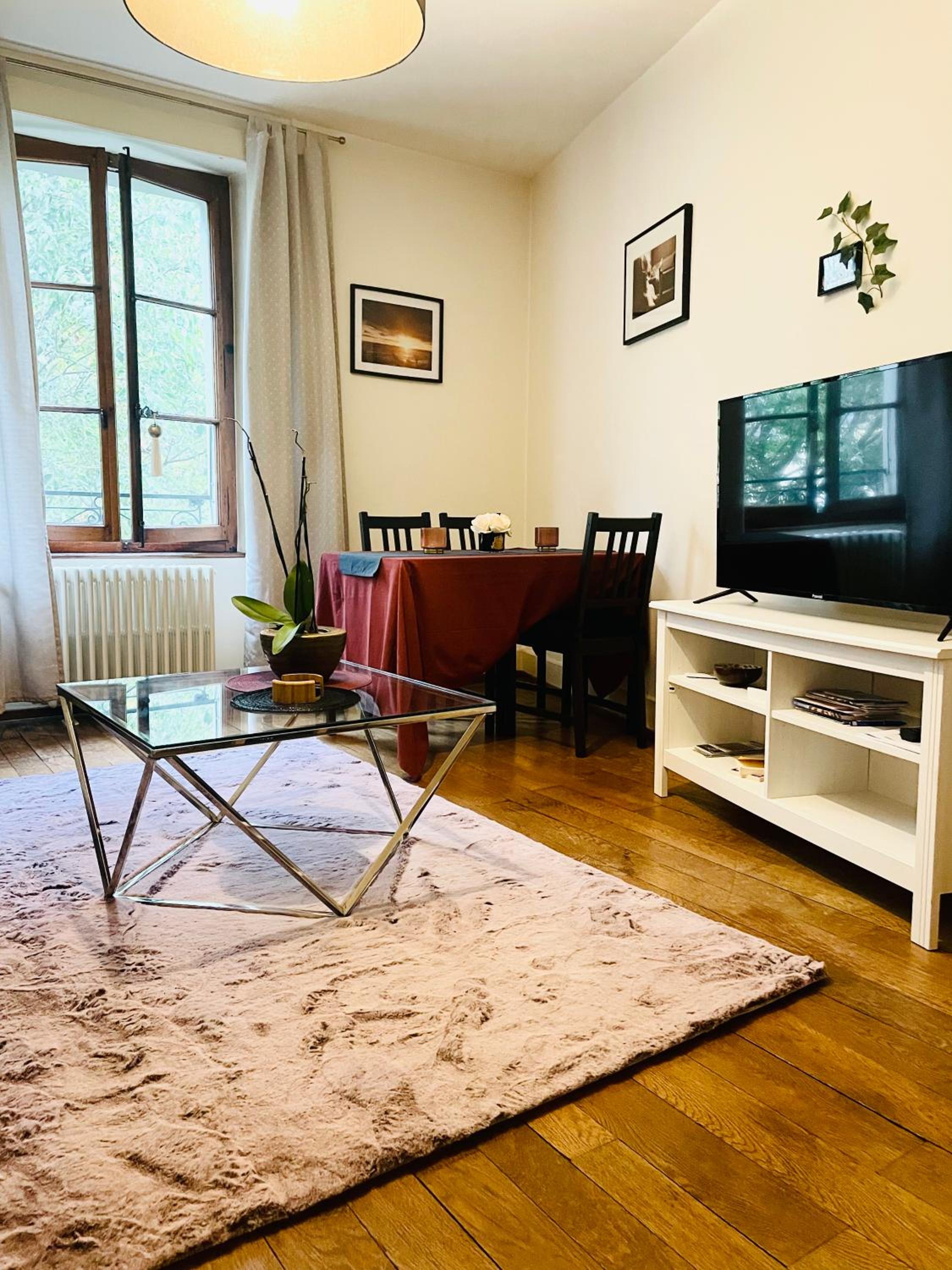 Appartement vue lac Montreux