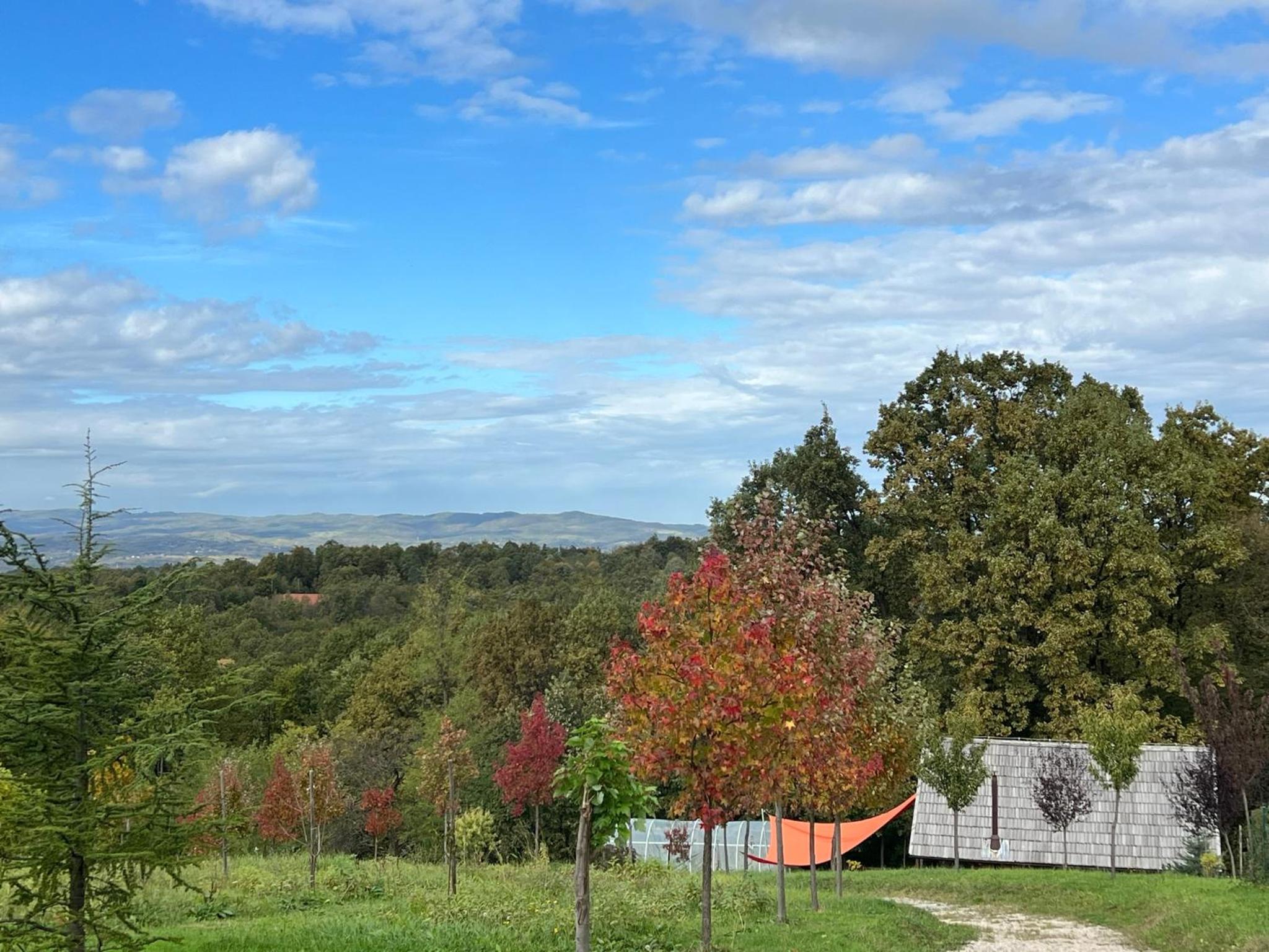 Wood Cabin Hillside Retreat