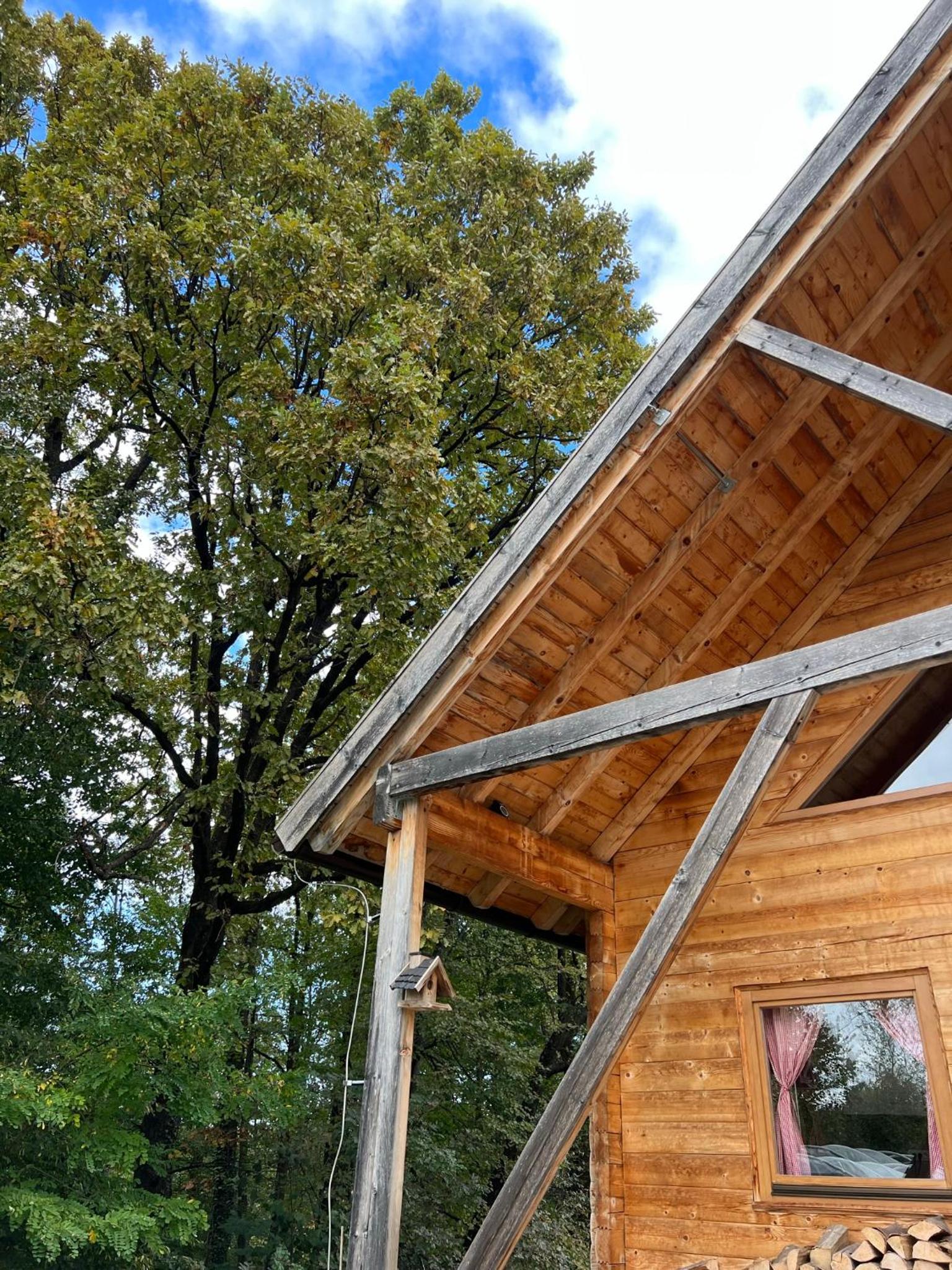 Wood Cabin Hillside Retreat