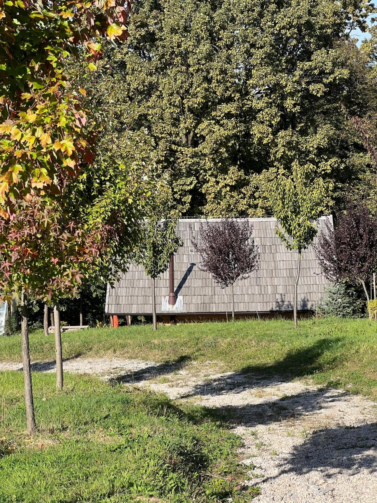 Wood Cabin Hillside Retreat