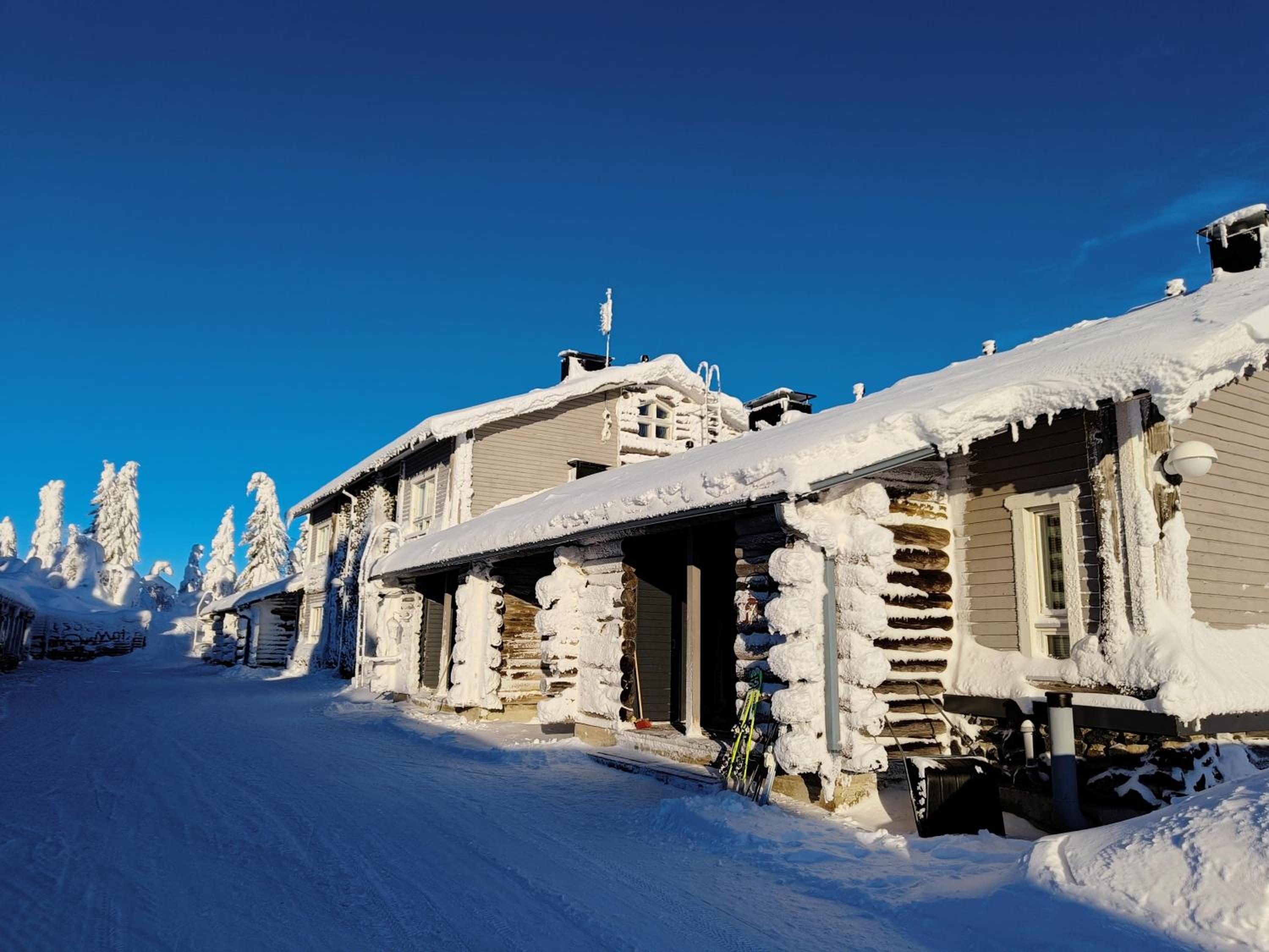 Syöte Panorama