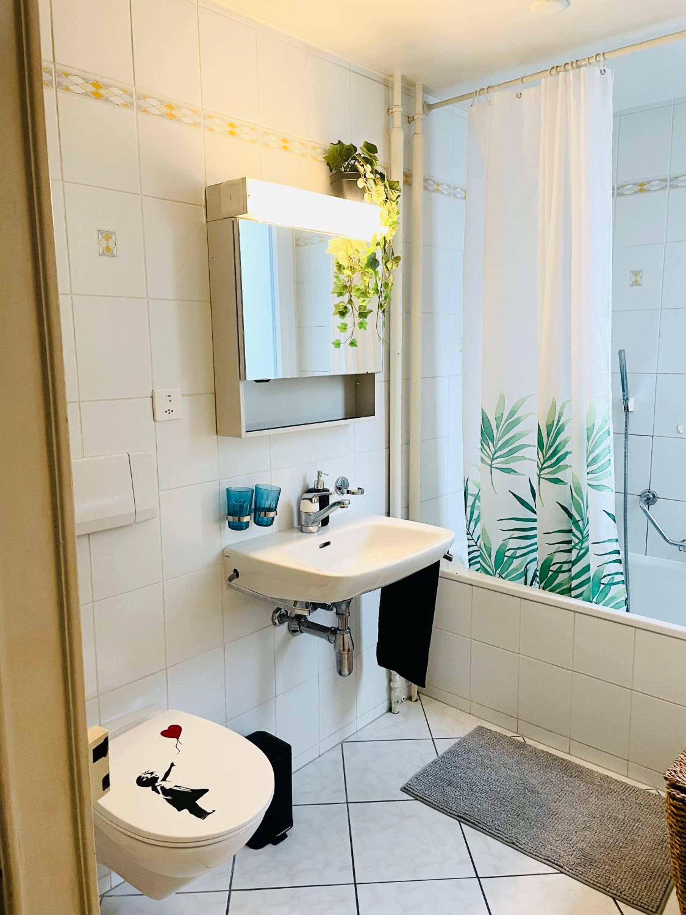 Appartement vue lac Montreux