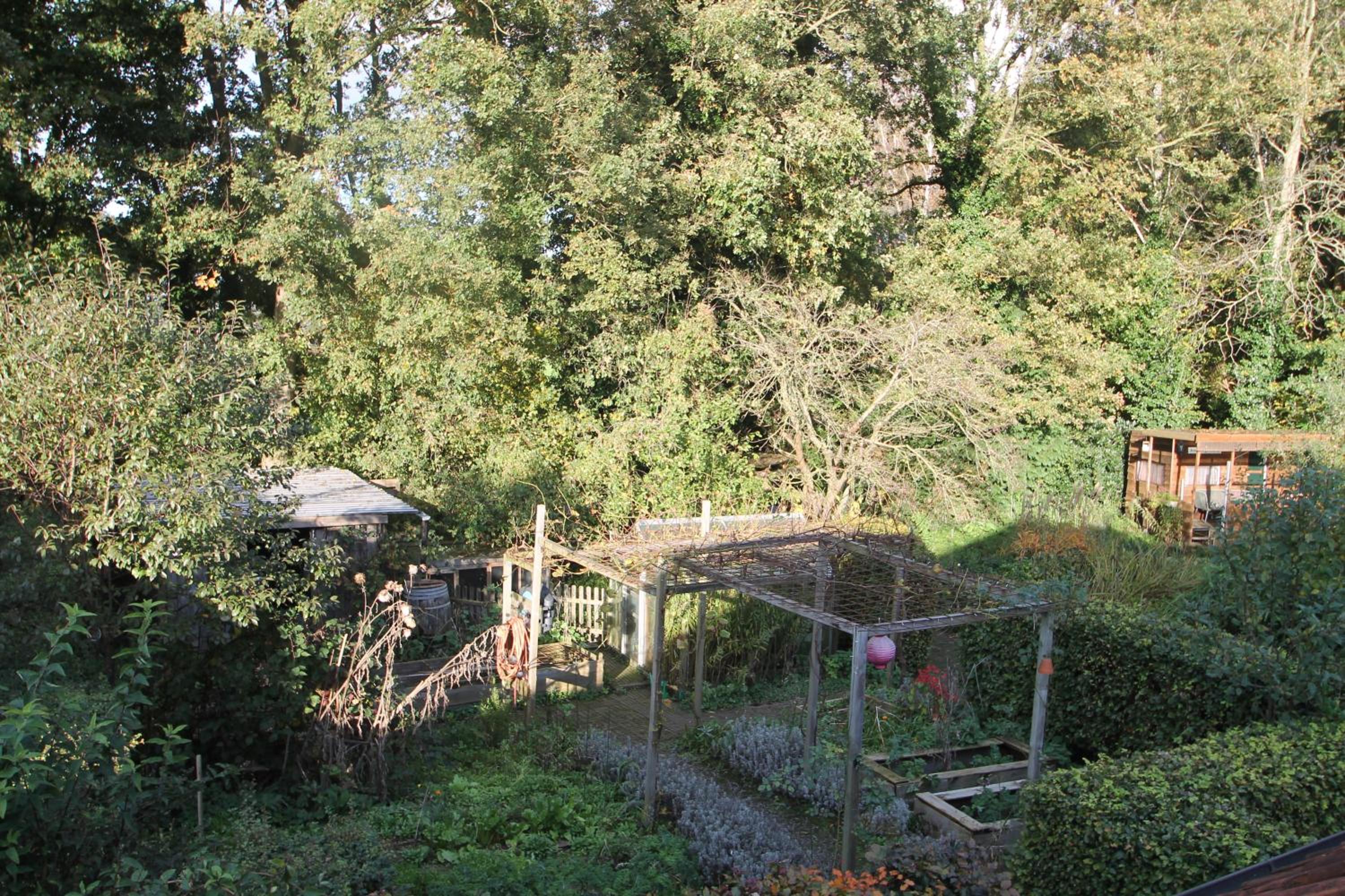 Photo 28