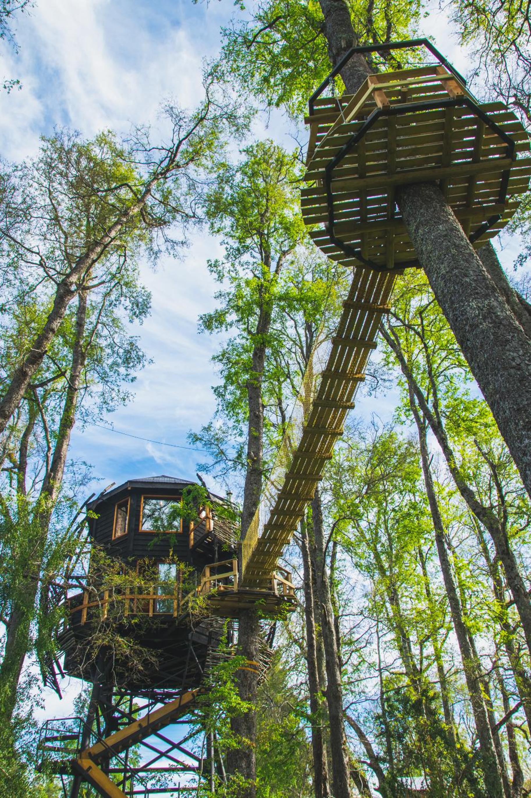 PUCON Casa Arbol